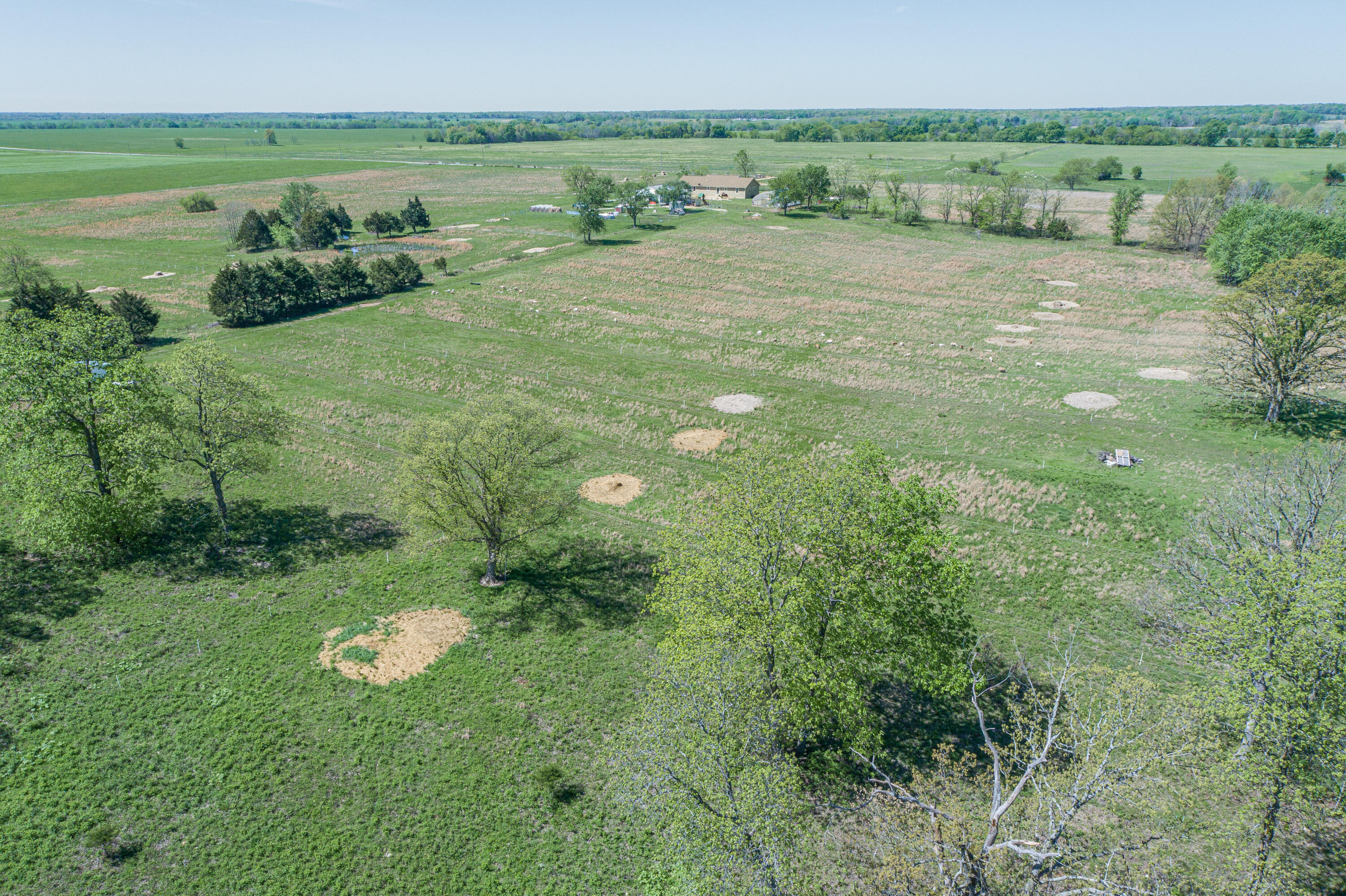 Photo 60 - Farm for sale – 15959  County Road 121   Weaubleau, MO