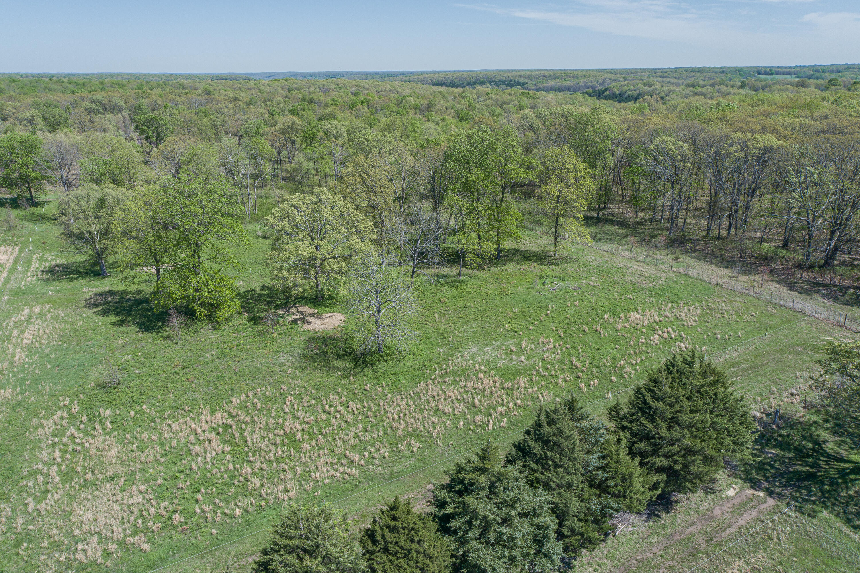 Photo 53 - Farm for sale – 15959  County Road 121   Weaubleau, MO