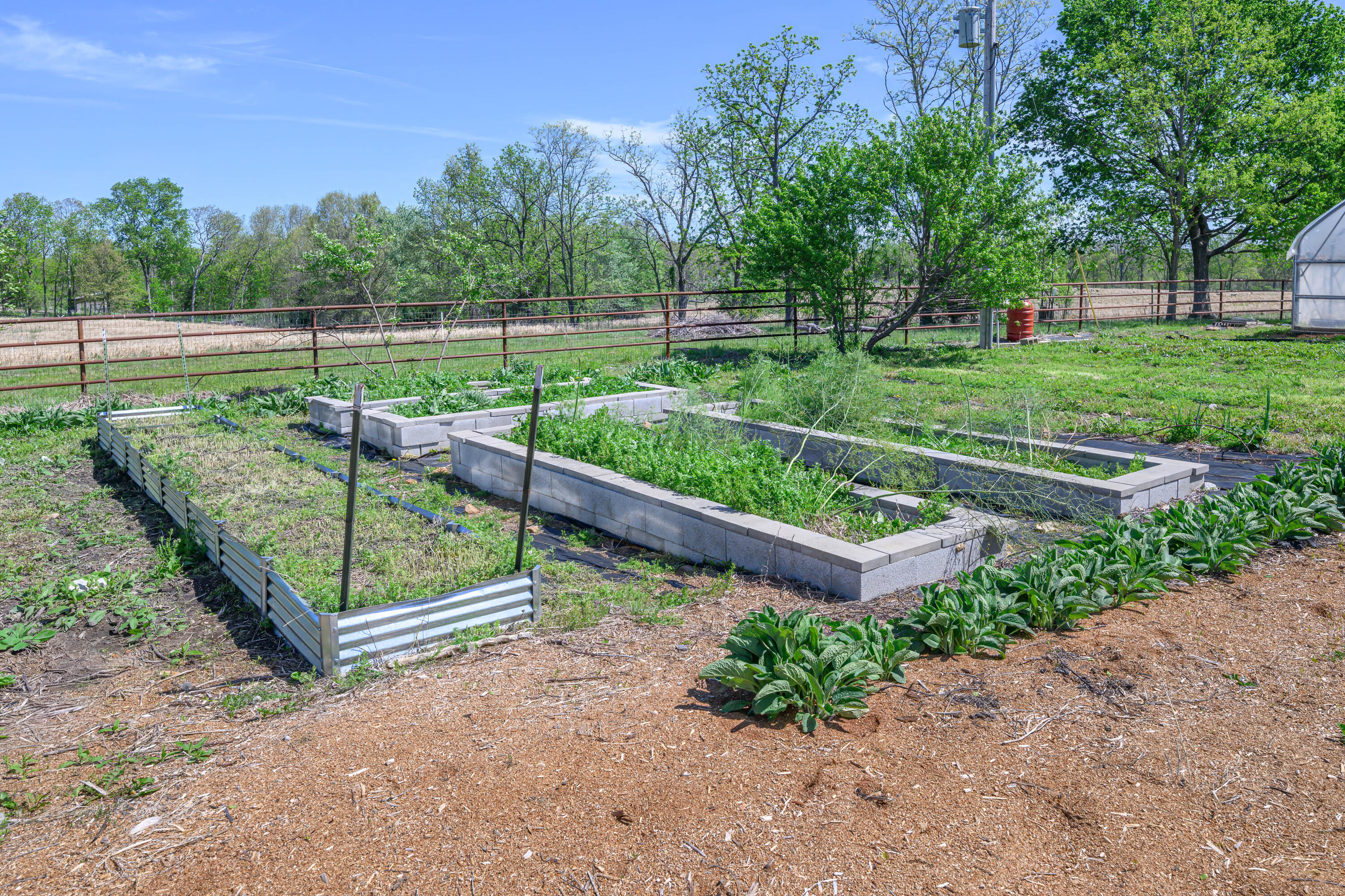 Photo 40 - Farm for sale – 15959  County Road 121   Weaubleau, MO