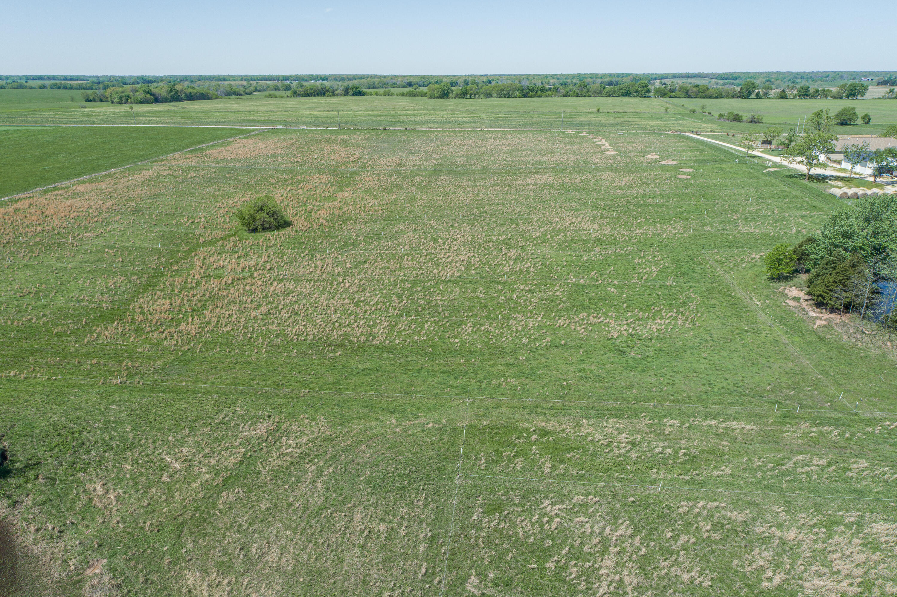 Photo 51 - Farm for sale – 15959  County Road 121   Weaubleau, MO
