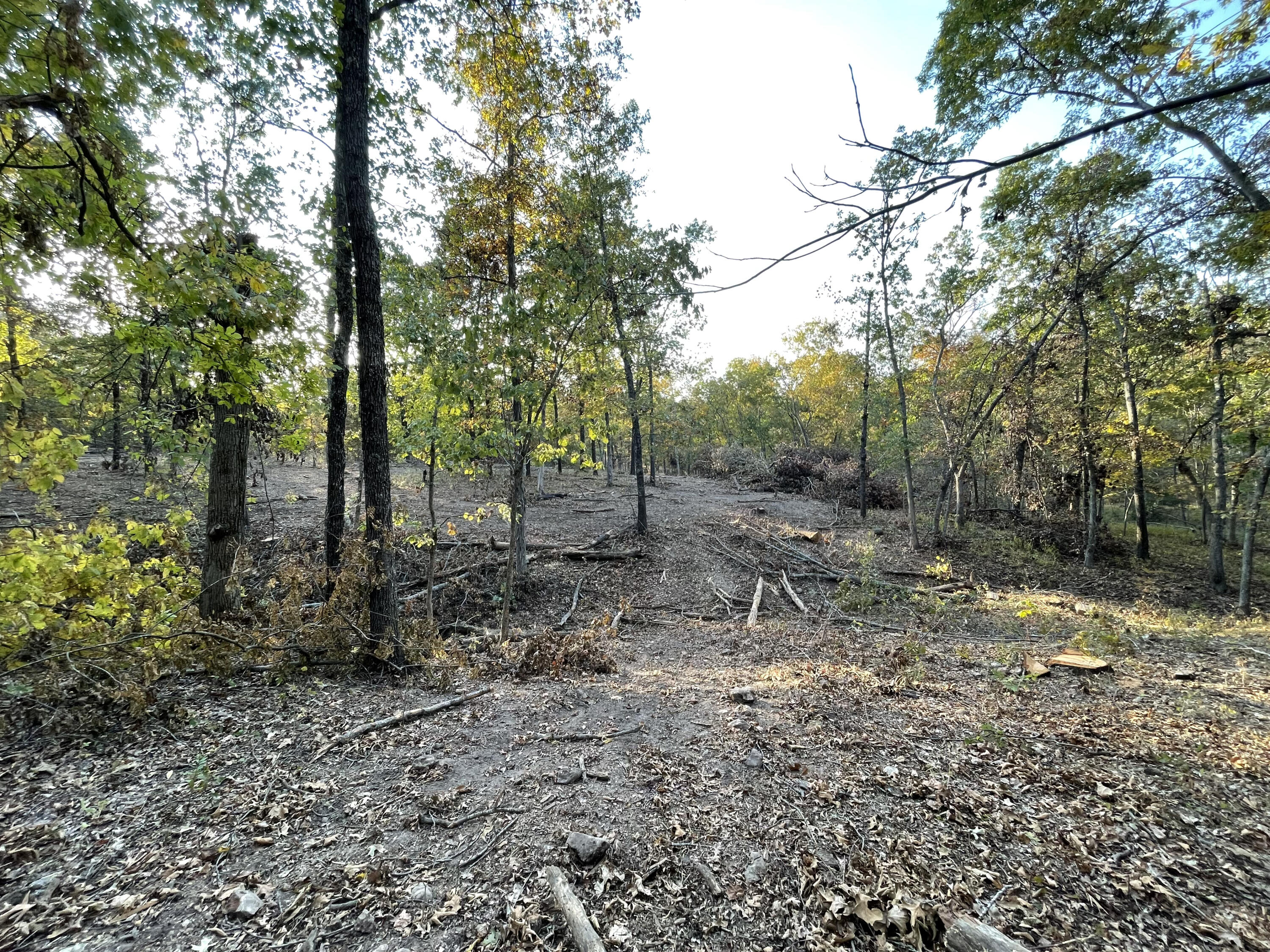 Photo 59 - Farm for sale – 15959  County Road 121   Weaubleau, MO