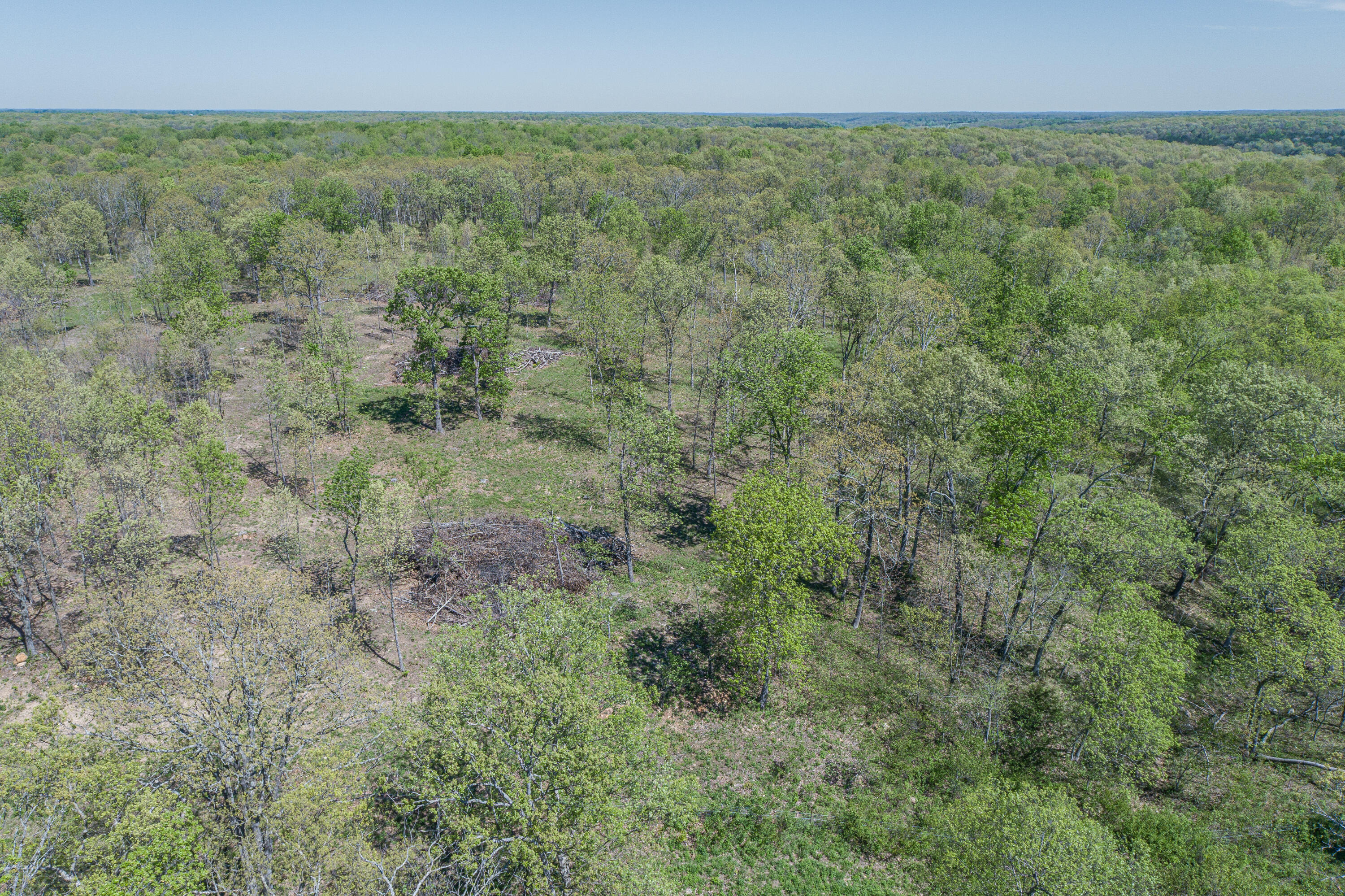 Photo 55 - Farm for sale – 15959  County Road 121   Weaubleau, MO