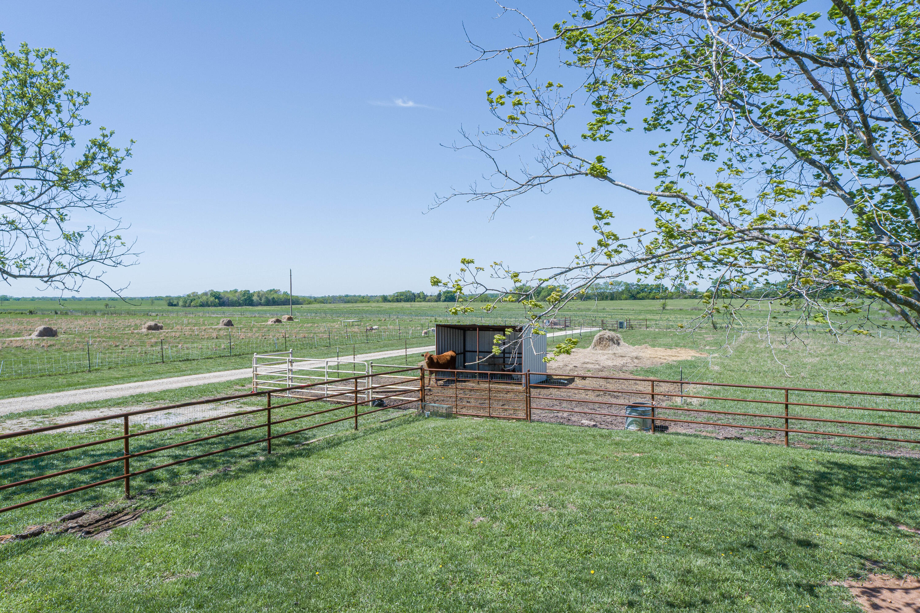 Photo 41 - Farm for sale – 15959  County Road 121   Weaubleau, MO