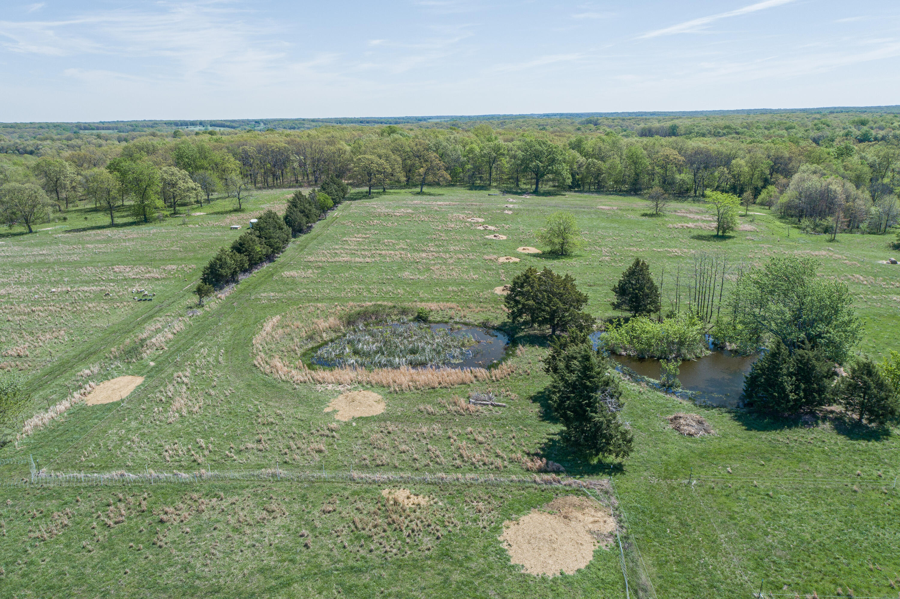 Photo 48 - Farm for sale – 15959  County Road 121   Weaubleau, MO