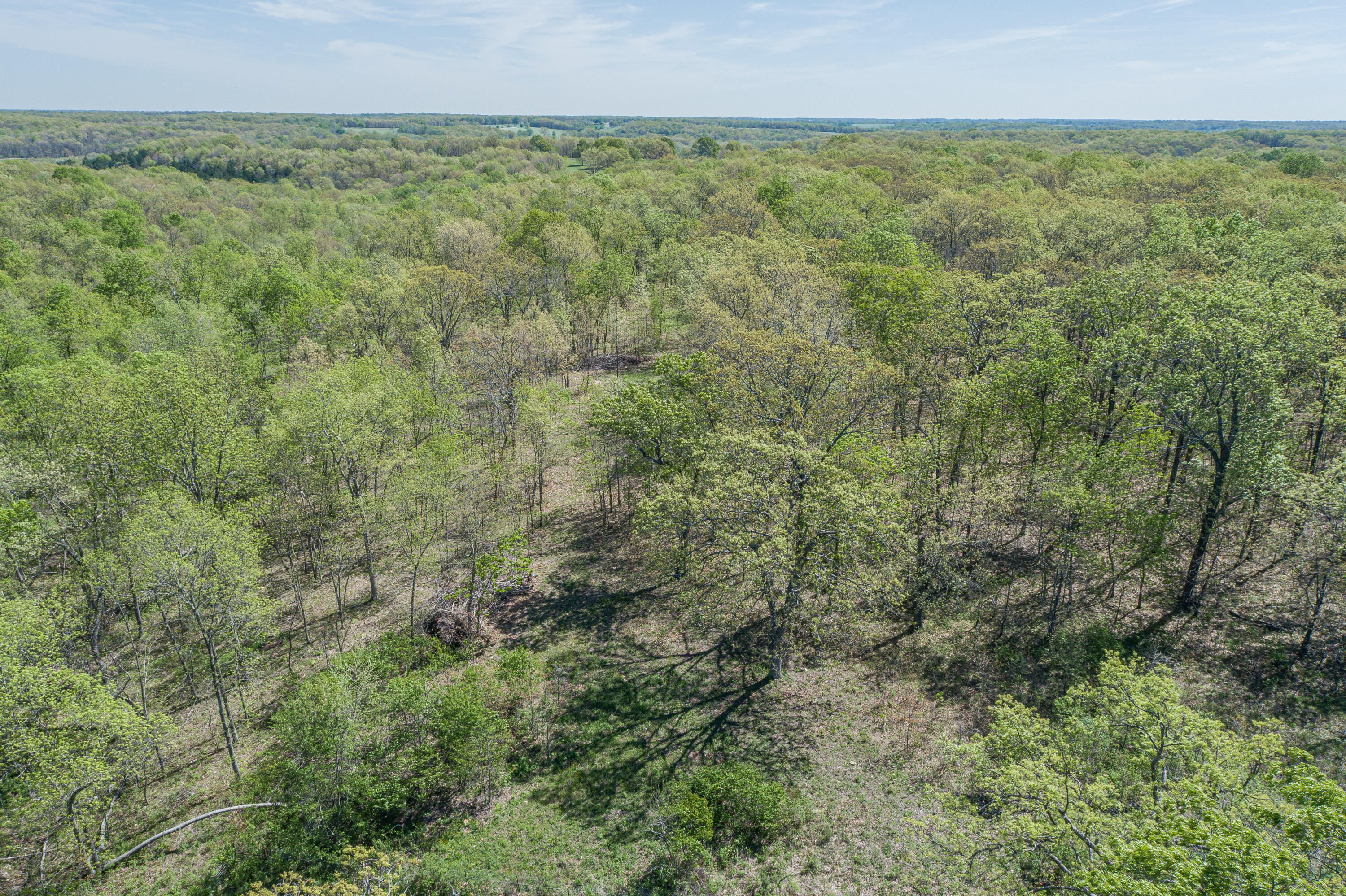 Photo 56 - Farm for sale – 15959  County Road 121   Weaubleau, MO