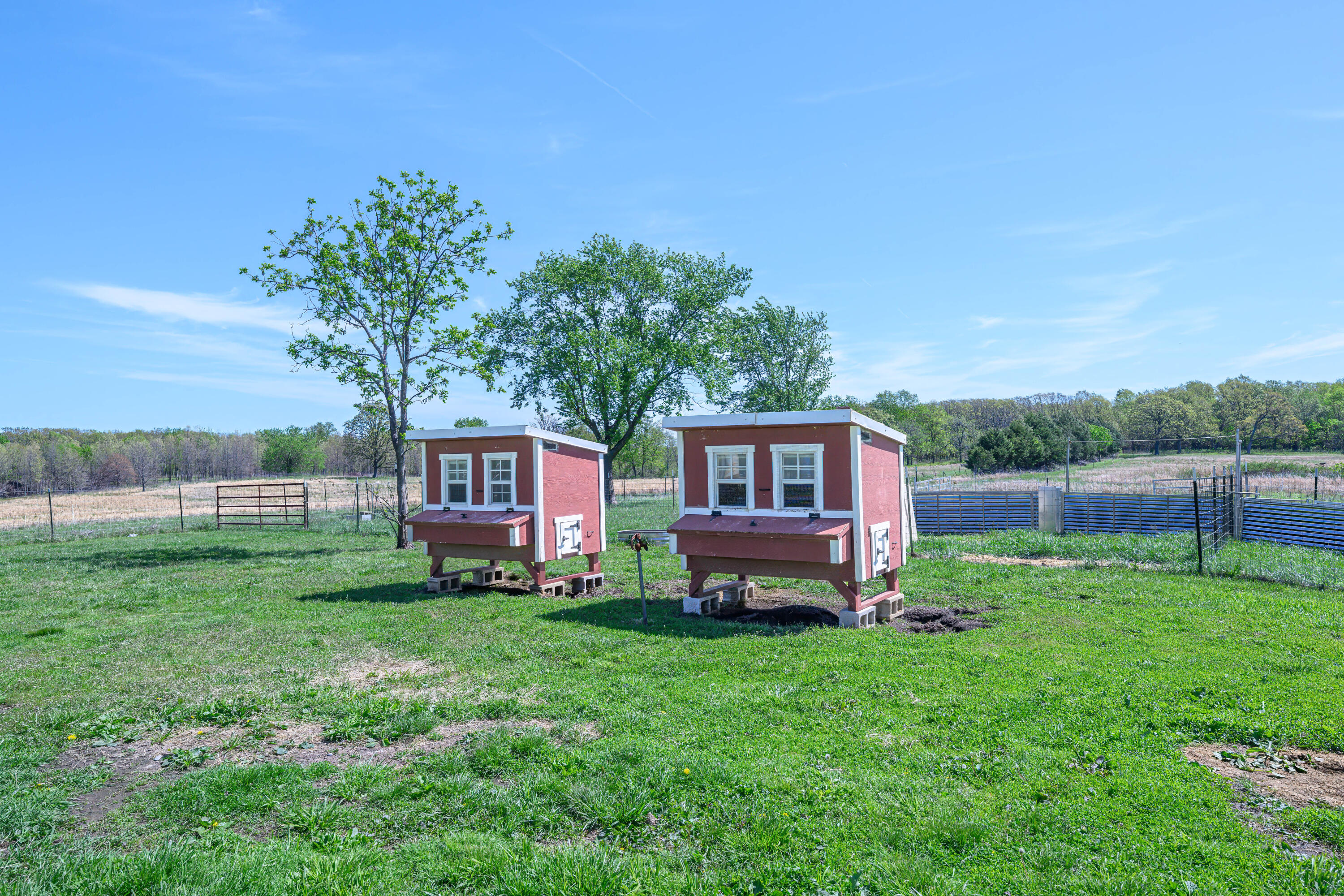 Photo 42 - Farm for sale – 15959  County Road 121   Weaubleau, MO