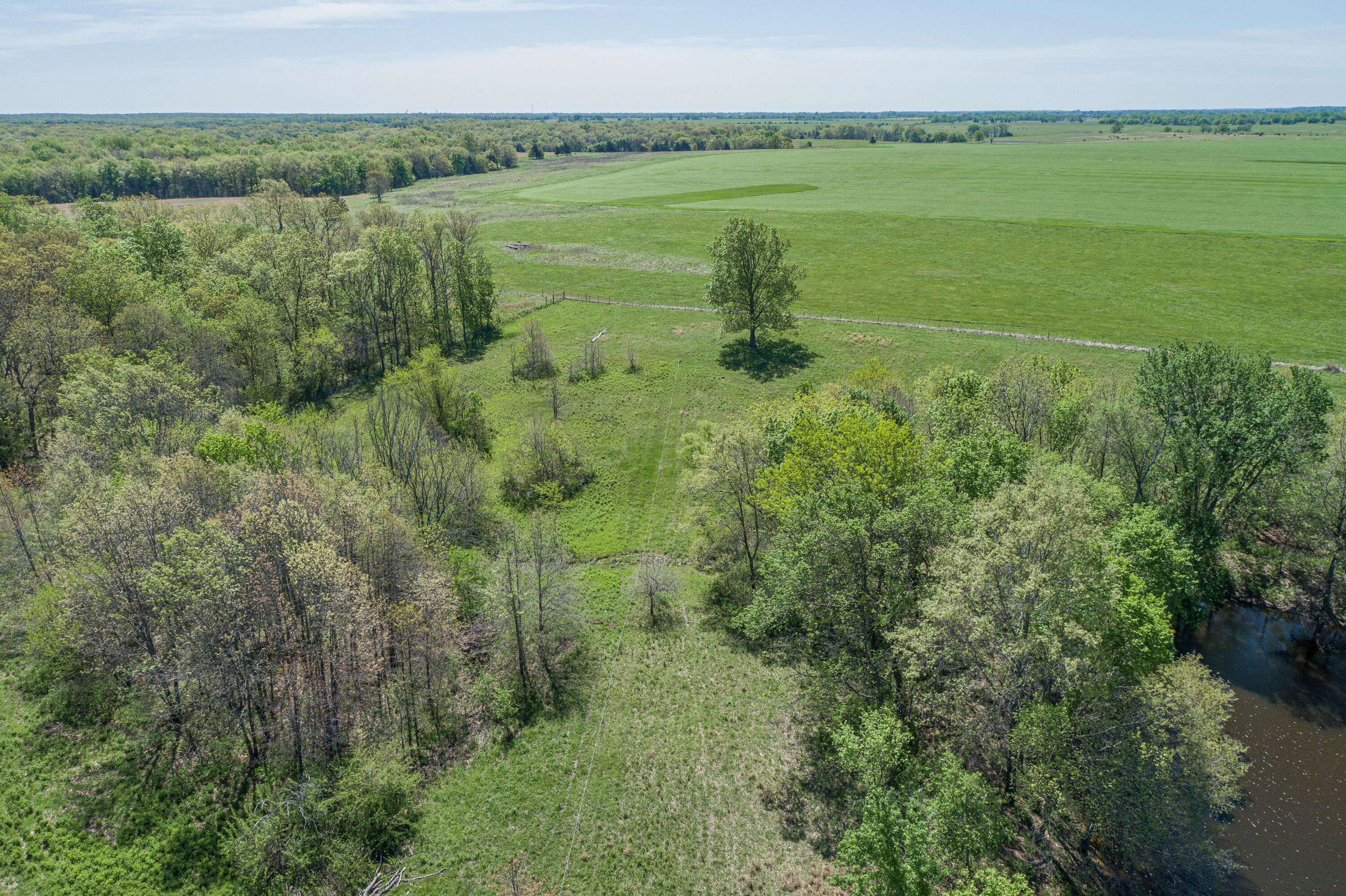Photo 50 - Farm for sale – 15959  County Road 121   Weaubleau, MO