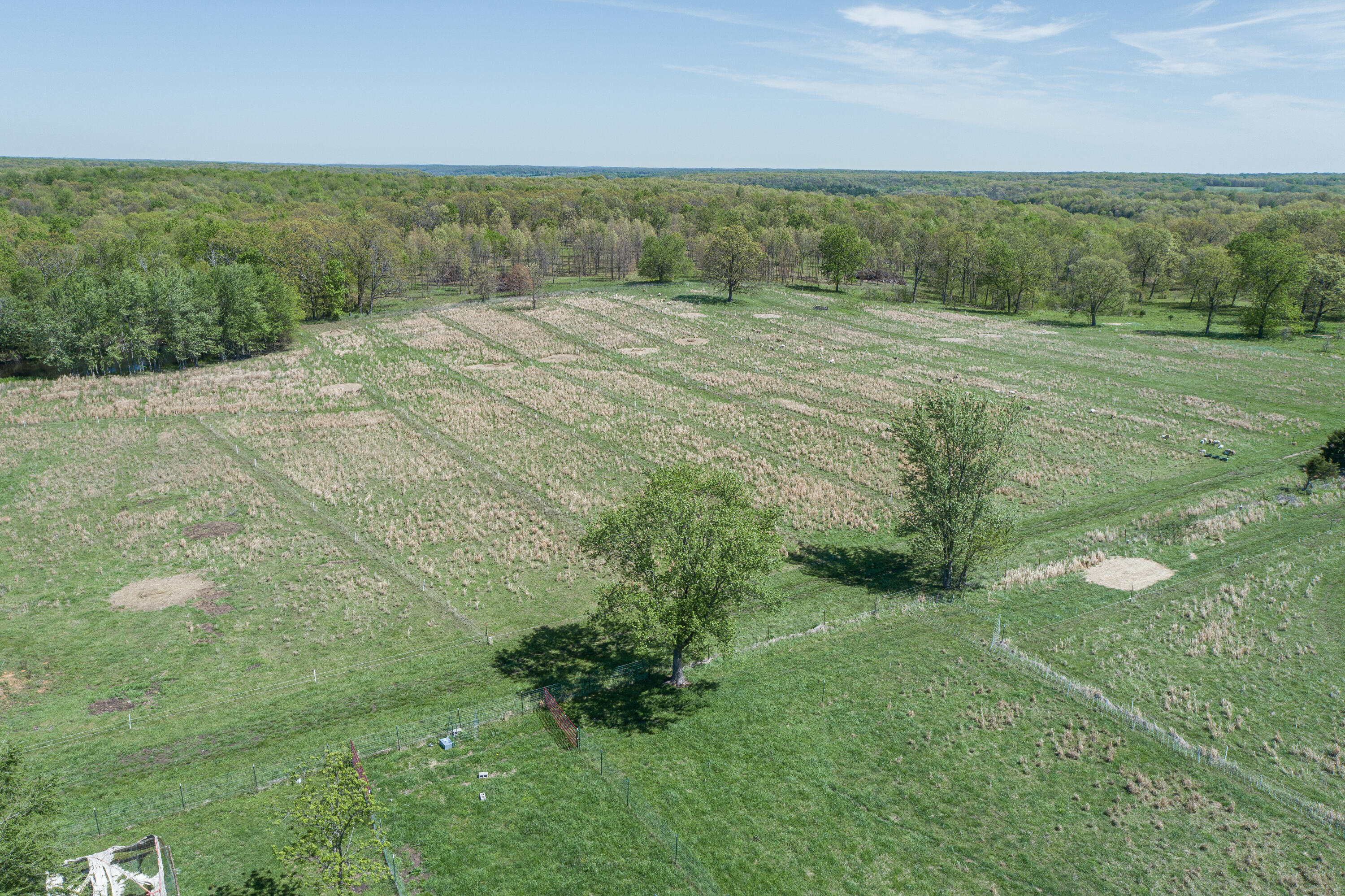 Photo 61 - Farm for sale – 15959  County Road 121   Weaubleau, MO