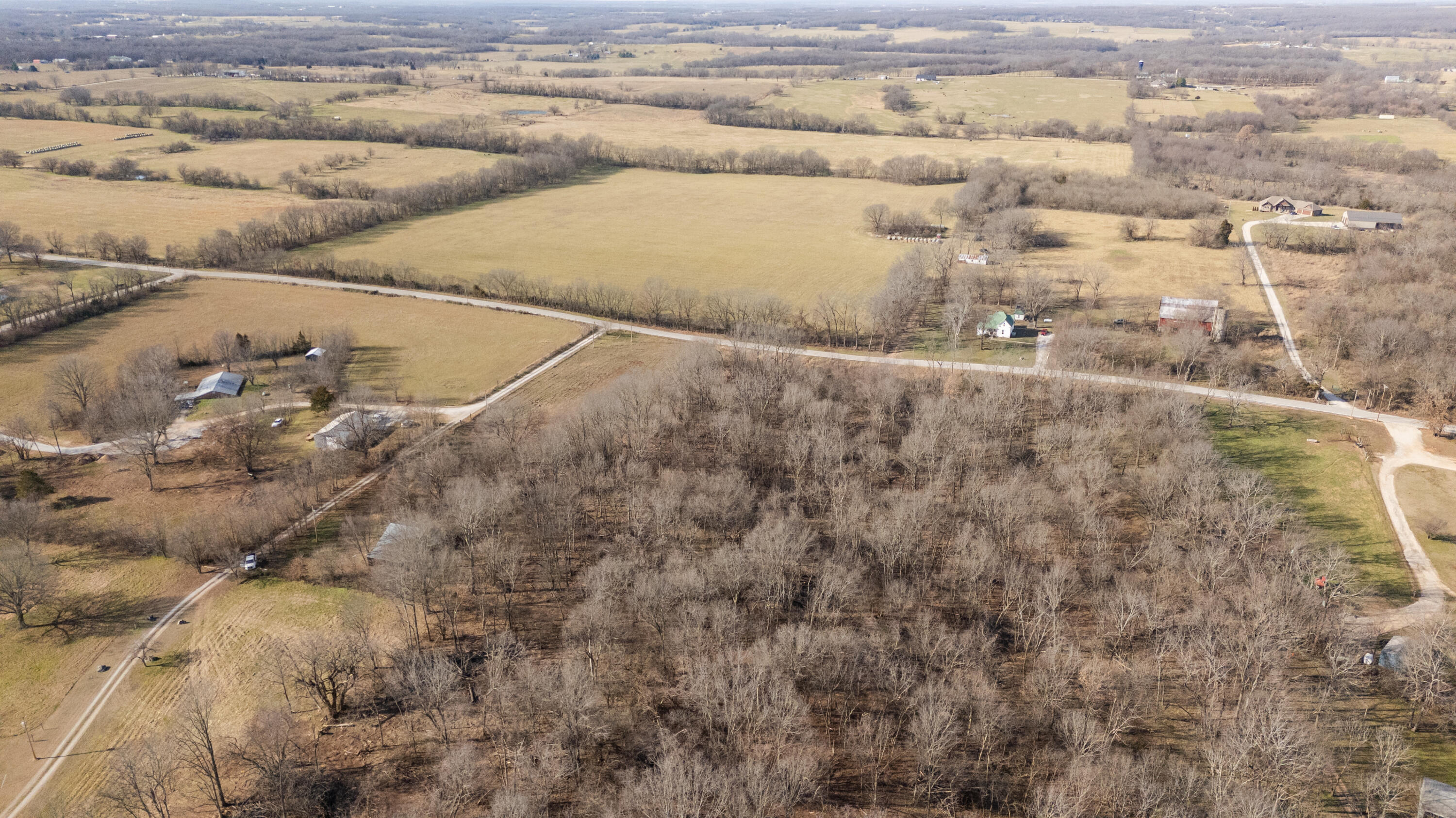 Photo 5 - Land for sale – 000  Farm Road 69   Republic, MO