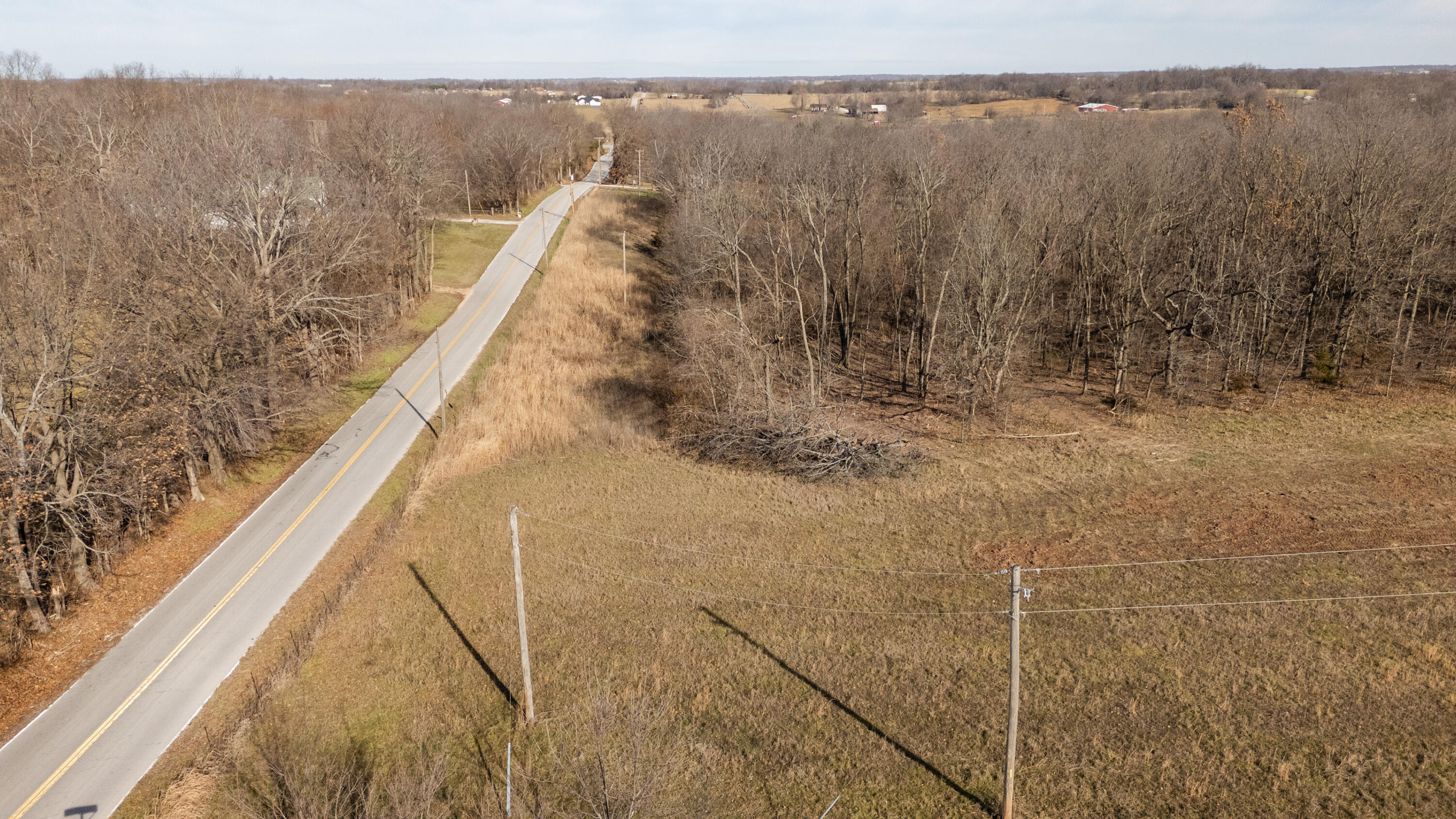 Photo 11 - Land for sale – 000  Farm Road 69   Republic, MO
