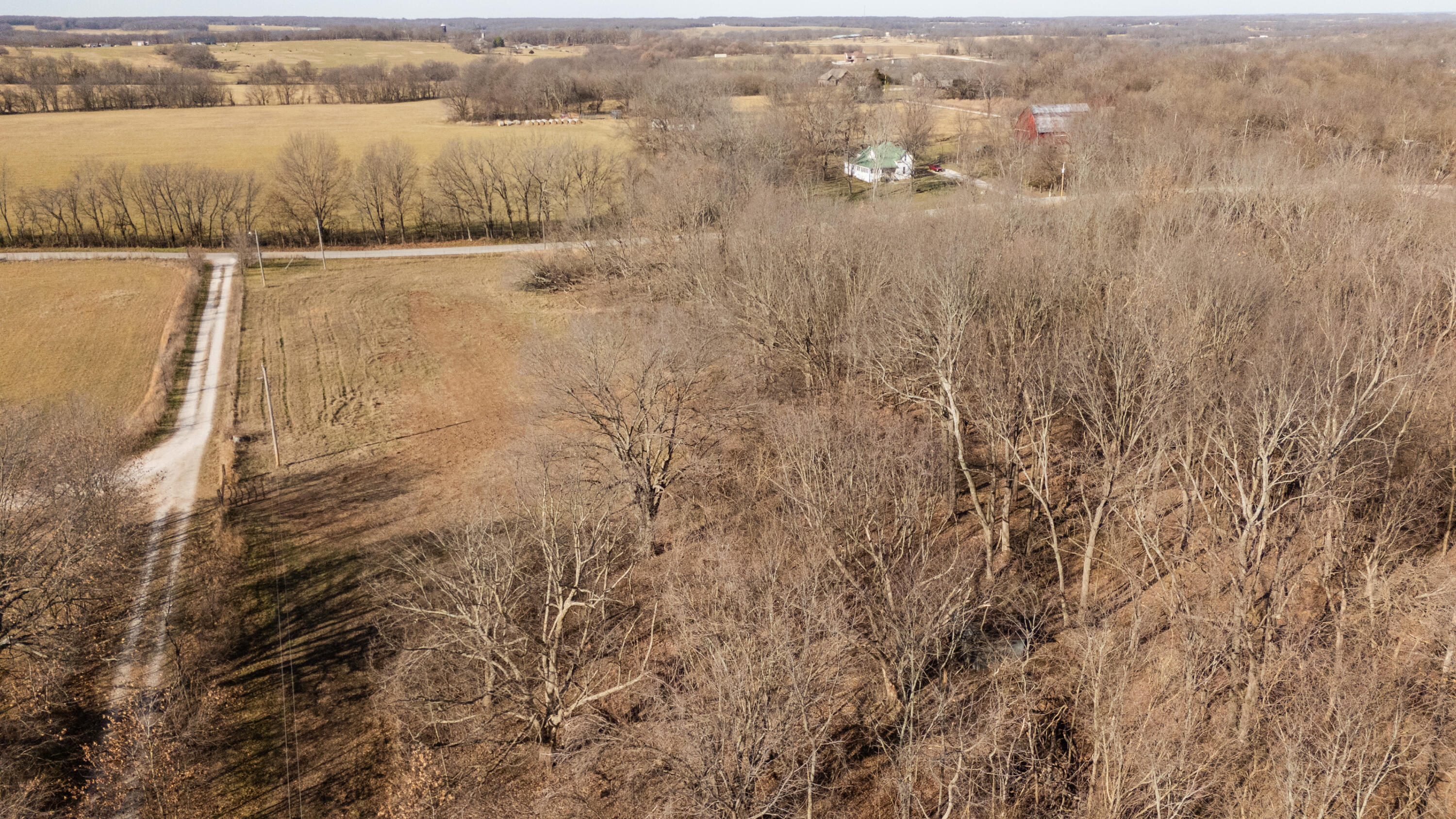 Photo 14 - Land for sale – 000  Farm Road 69   Republic, MO
