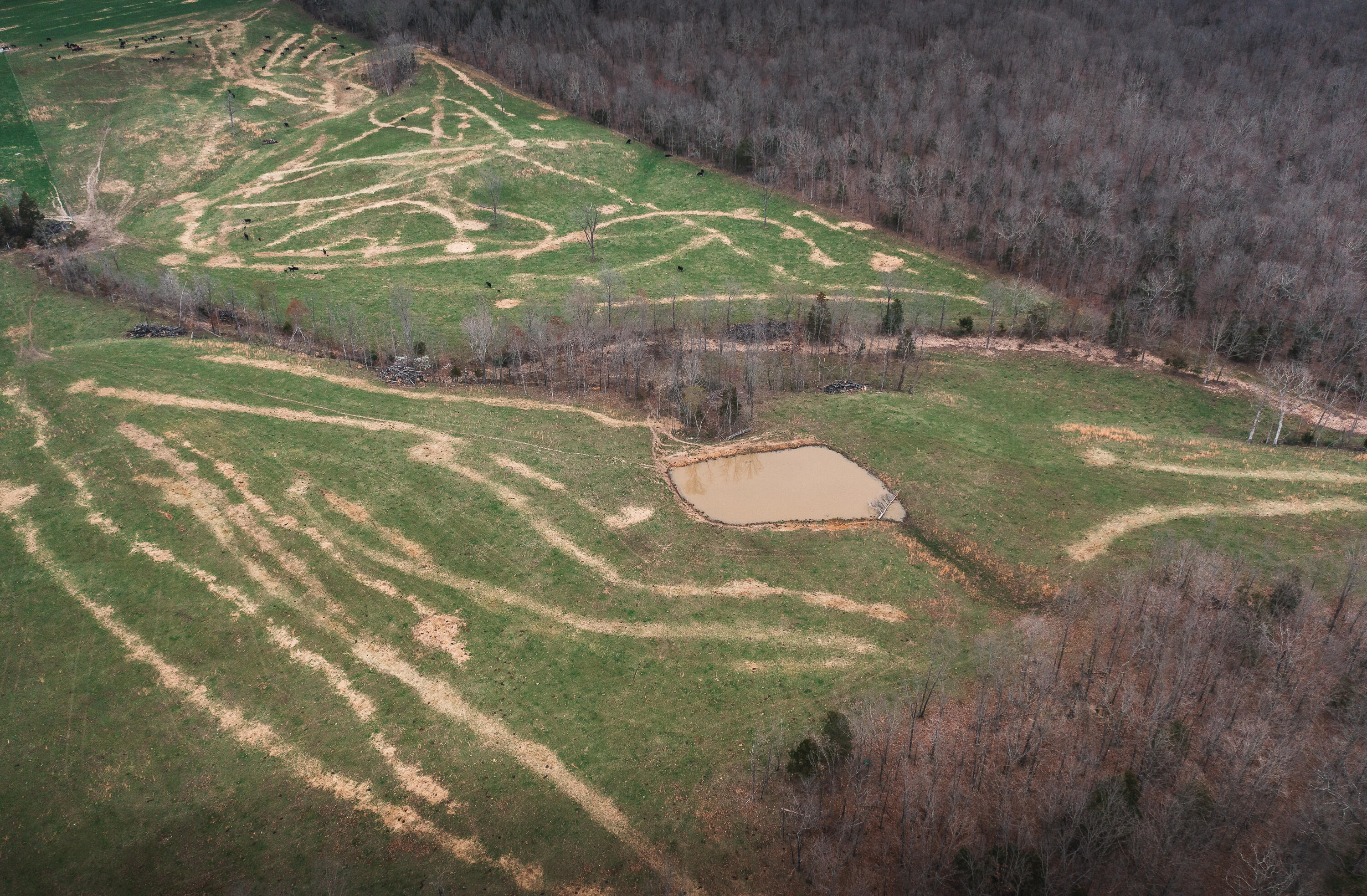 Photo 14 - Land for sale – 0  Kofhal Road  Licking, MO