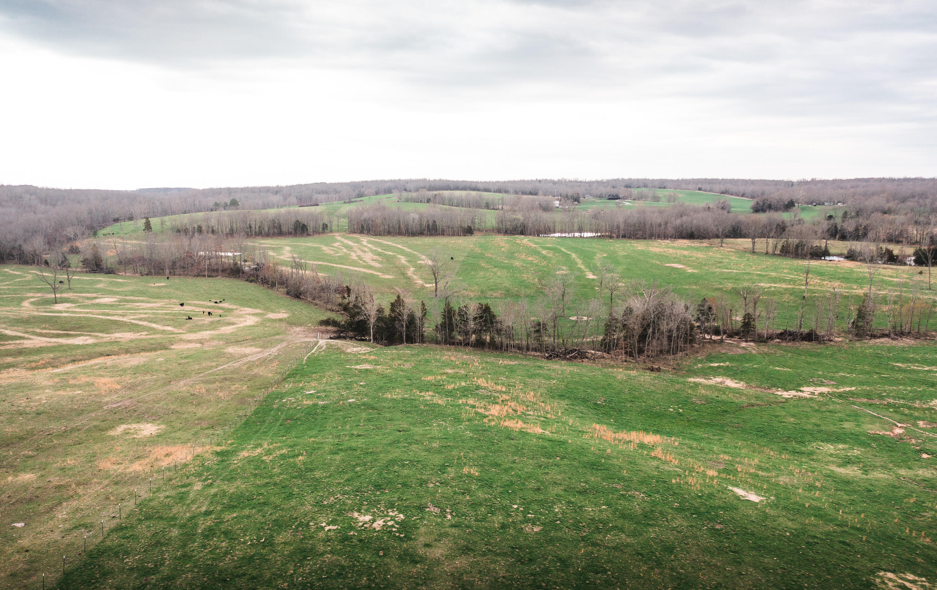 Photo 10 - Land for sale – 0  Kofhal Road  Licking, MO