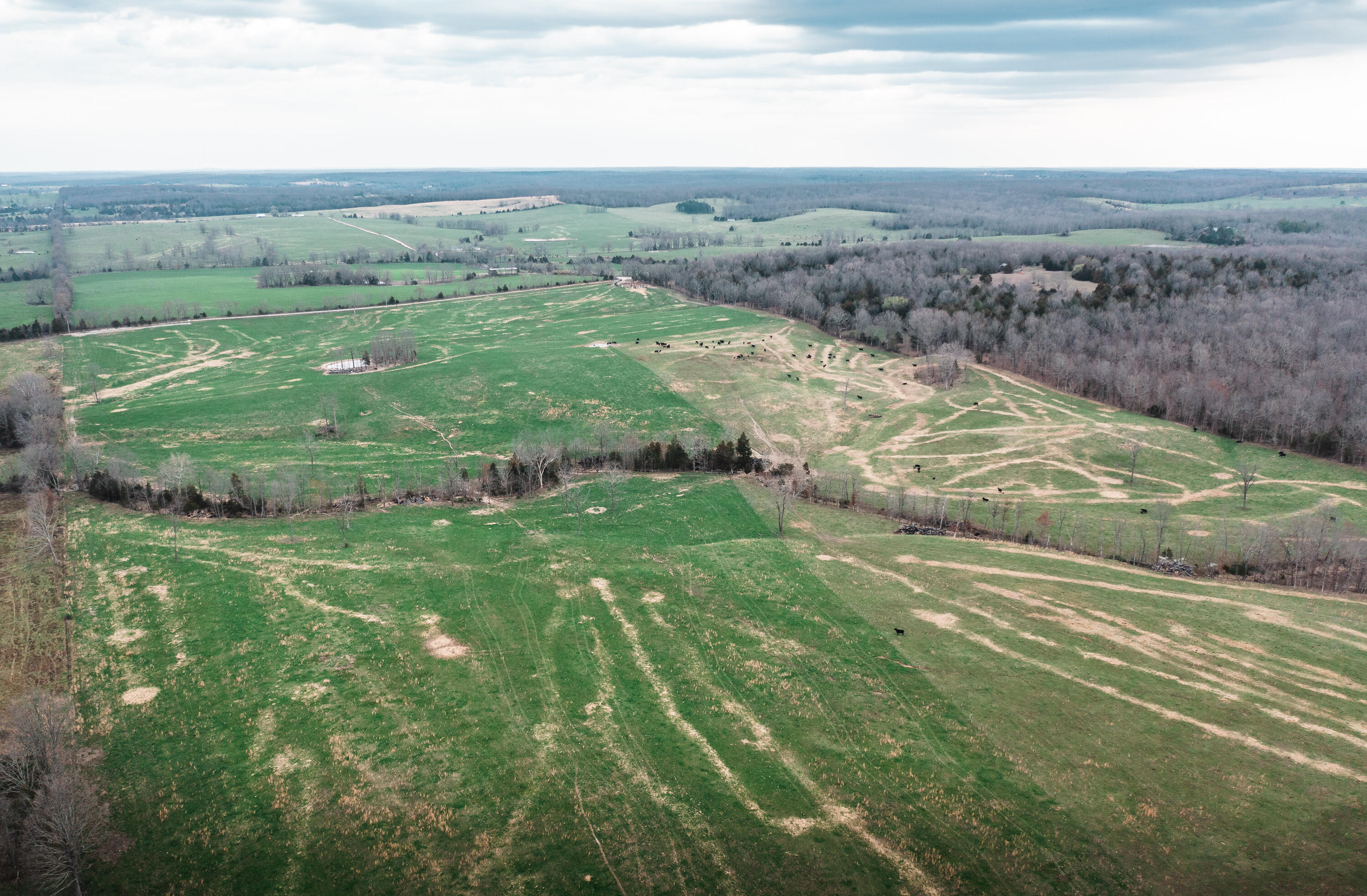 Photo 15 - Land for sale – 0  Kofhal Road  Licking, MO
