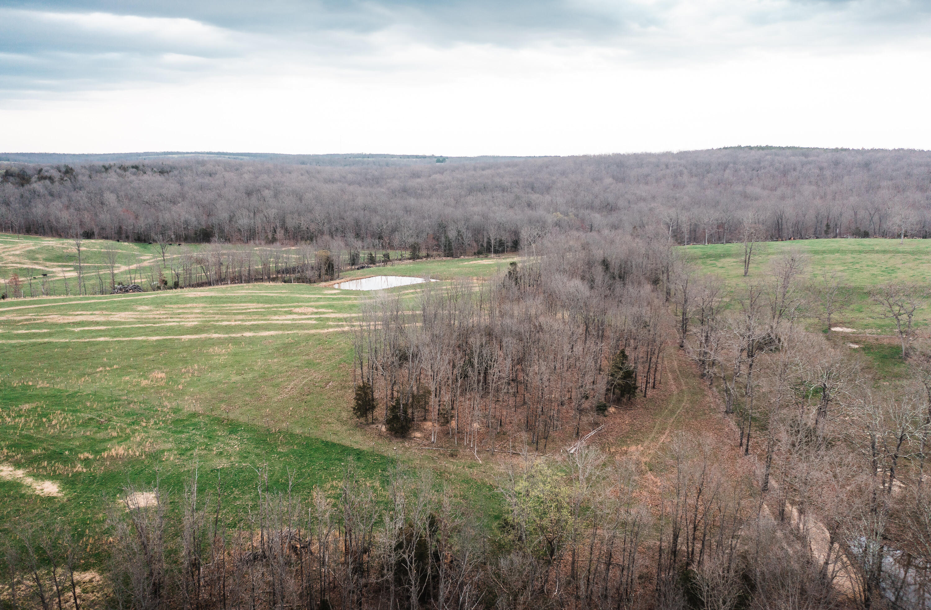 Photo 17 - Land for sale – 0  Kofhal Road  Licking, MO
