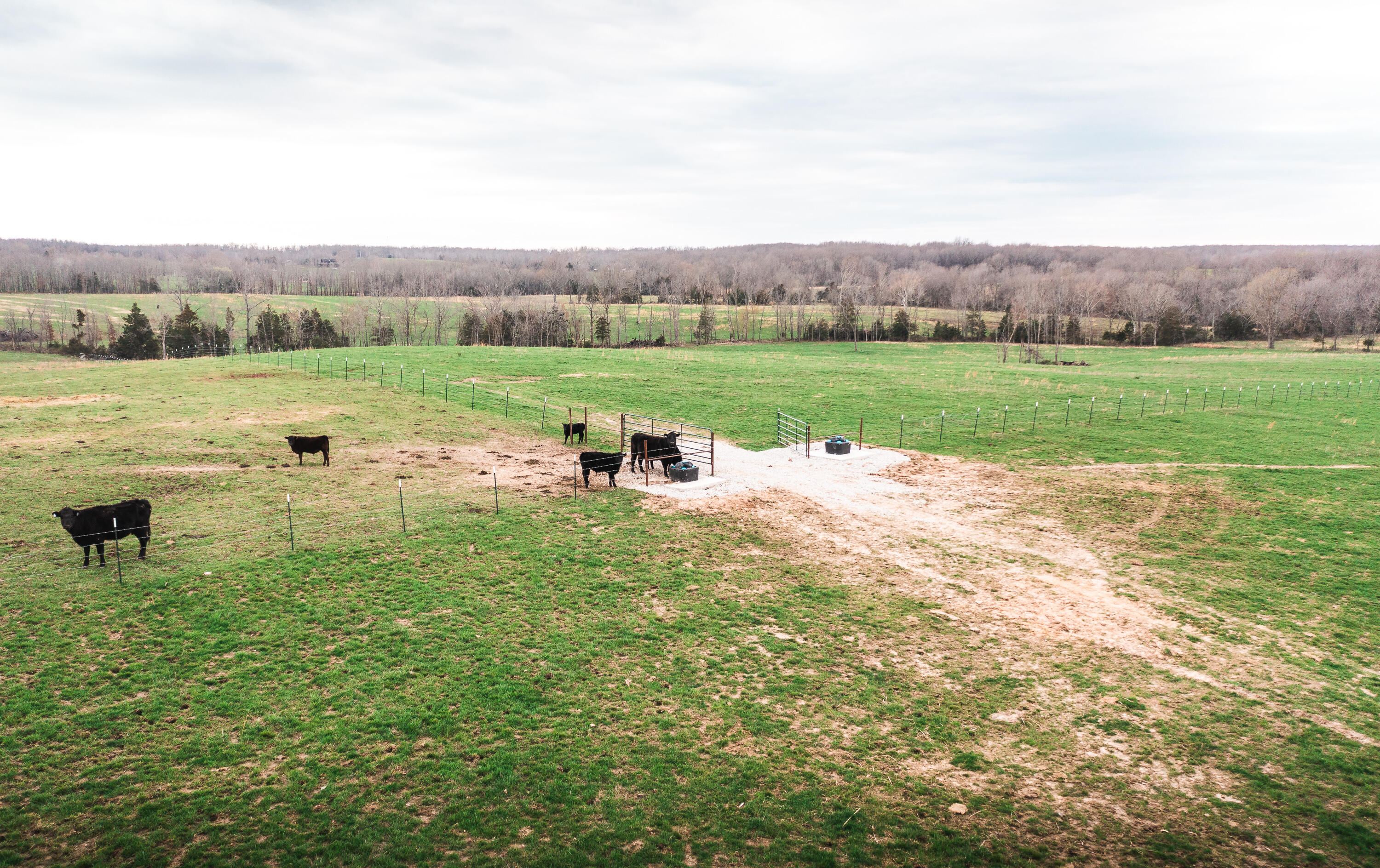 Photo 8 - Land for sale – 0  Kofhal Road  Licking, MO