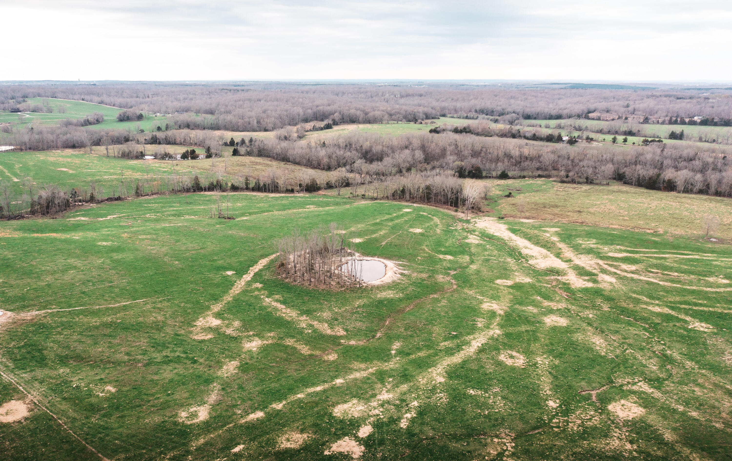 Photo 6 - Land for sale – 0  Kofhal Road  Licking, MO