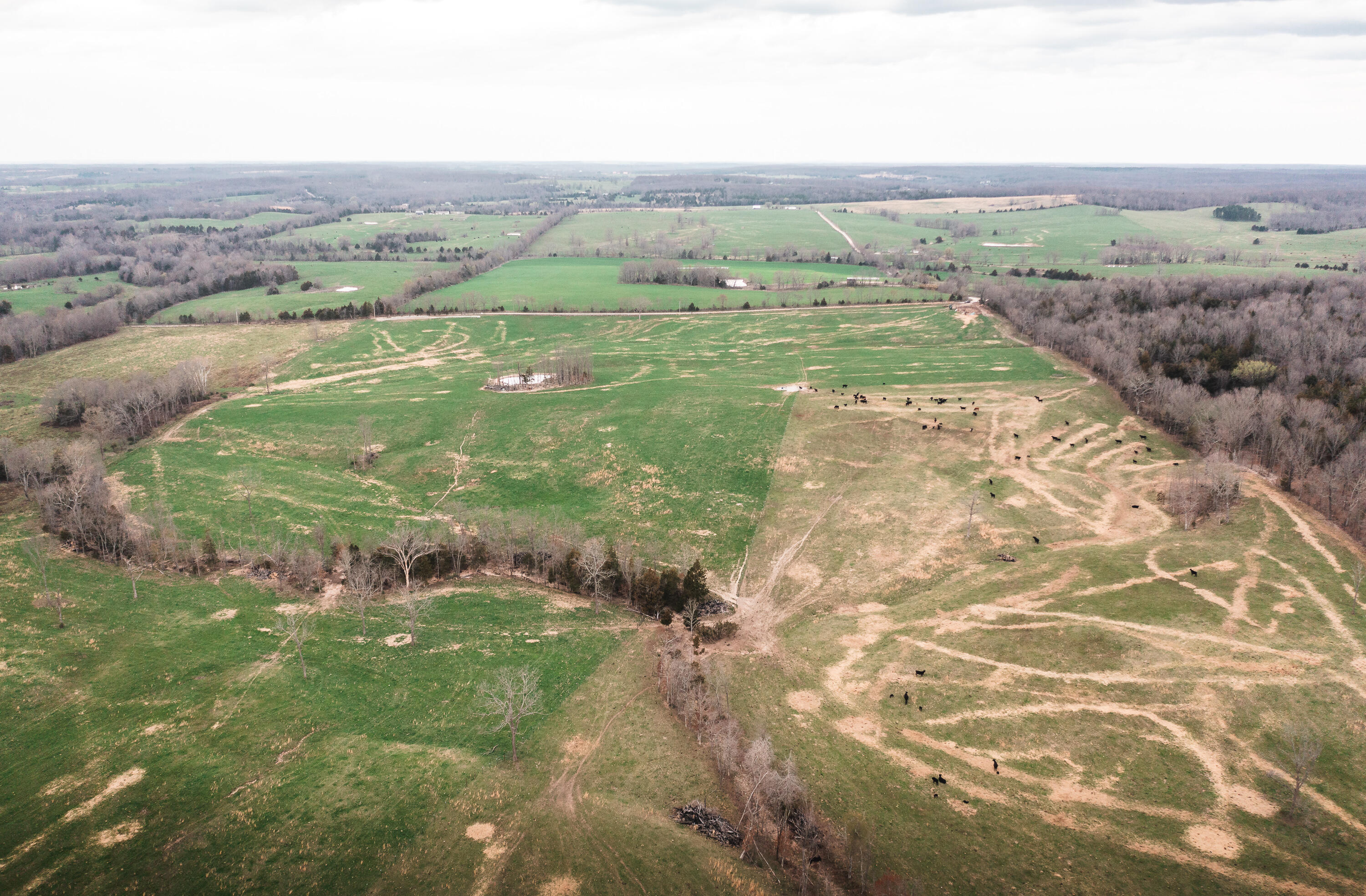 Photo 12 - Land for sale – 0  Kofhal Road  Licking, MO