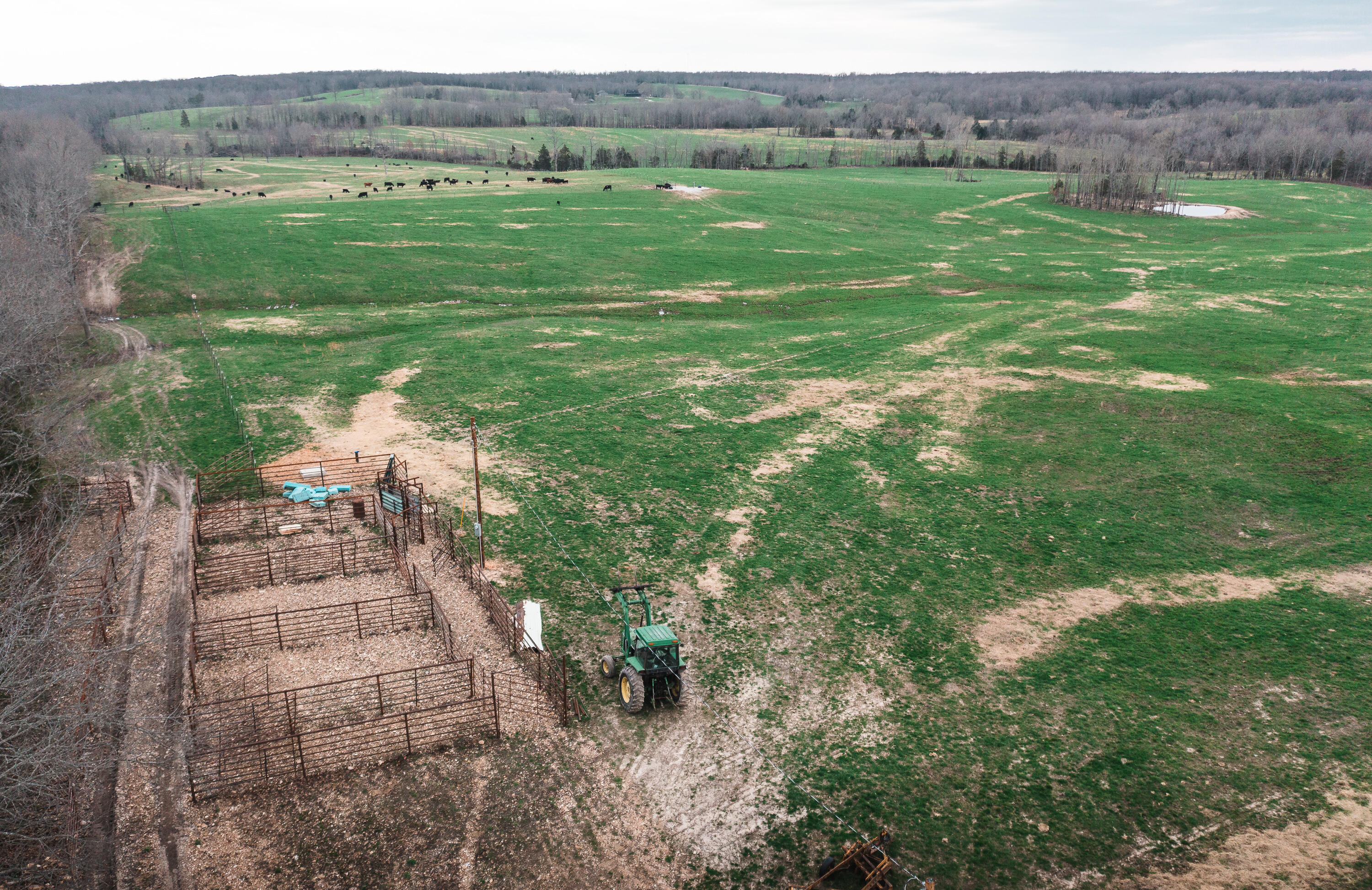 Photo 2 - Land for sale – 0  Kofhal Road  Licking, MO