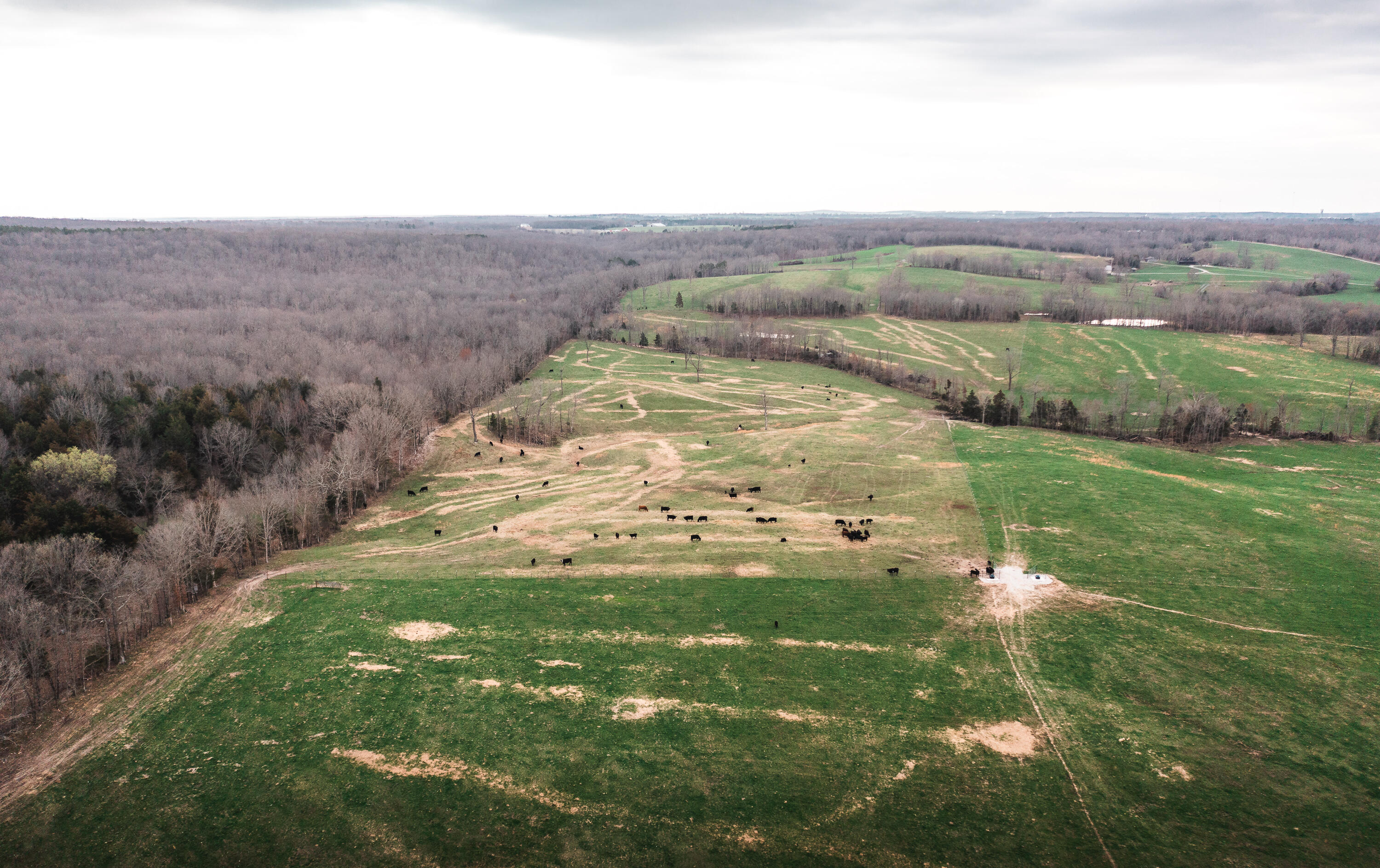 Photo 7 - Land for sale – 0  Kofhal Road  Licking, MO