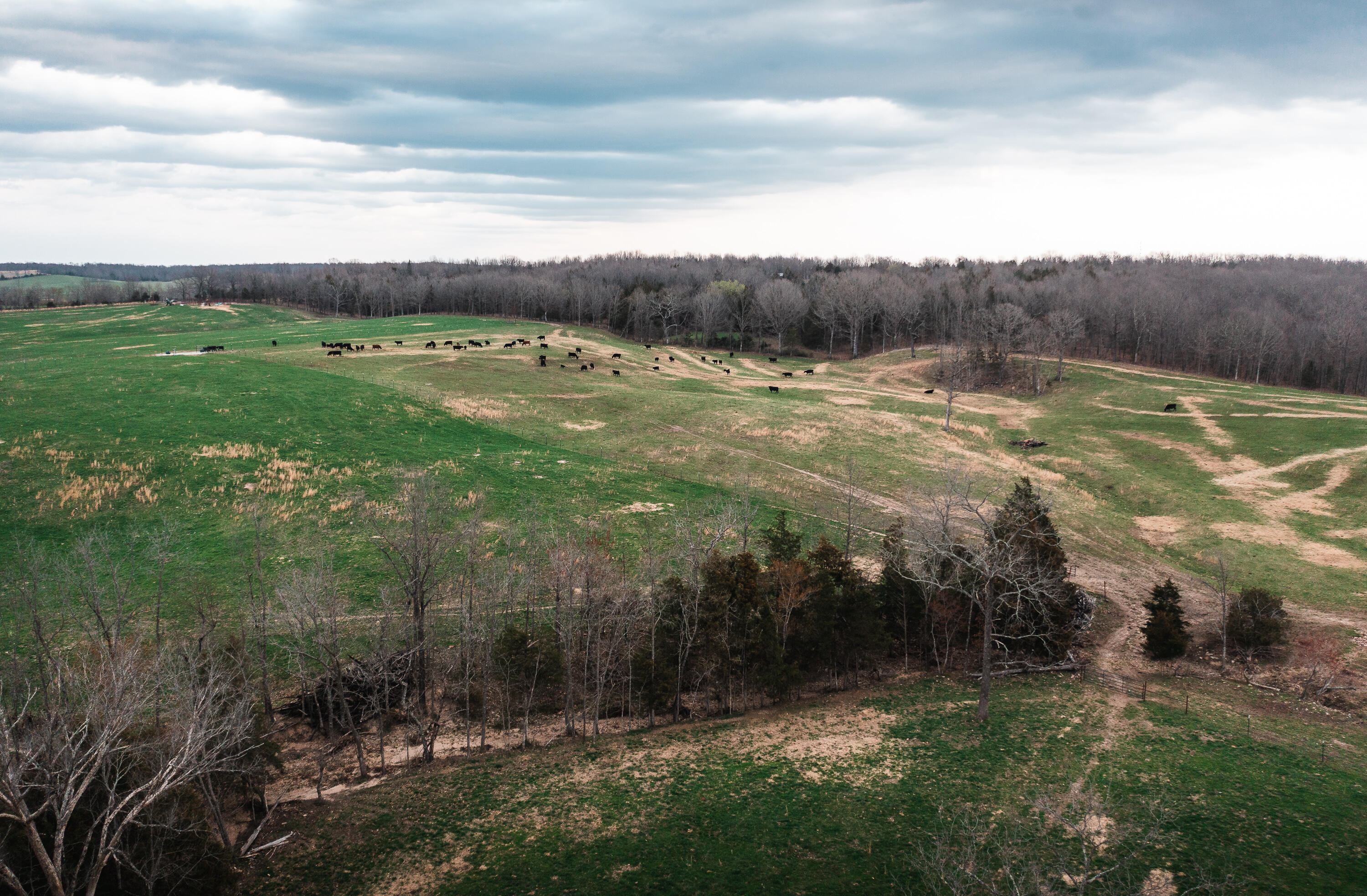 Photo 19 - Land for sale – 0  Kofhal Road  Licking, MO