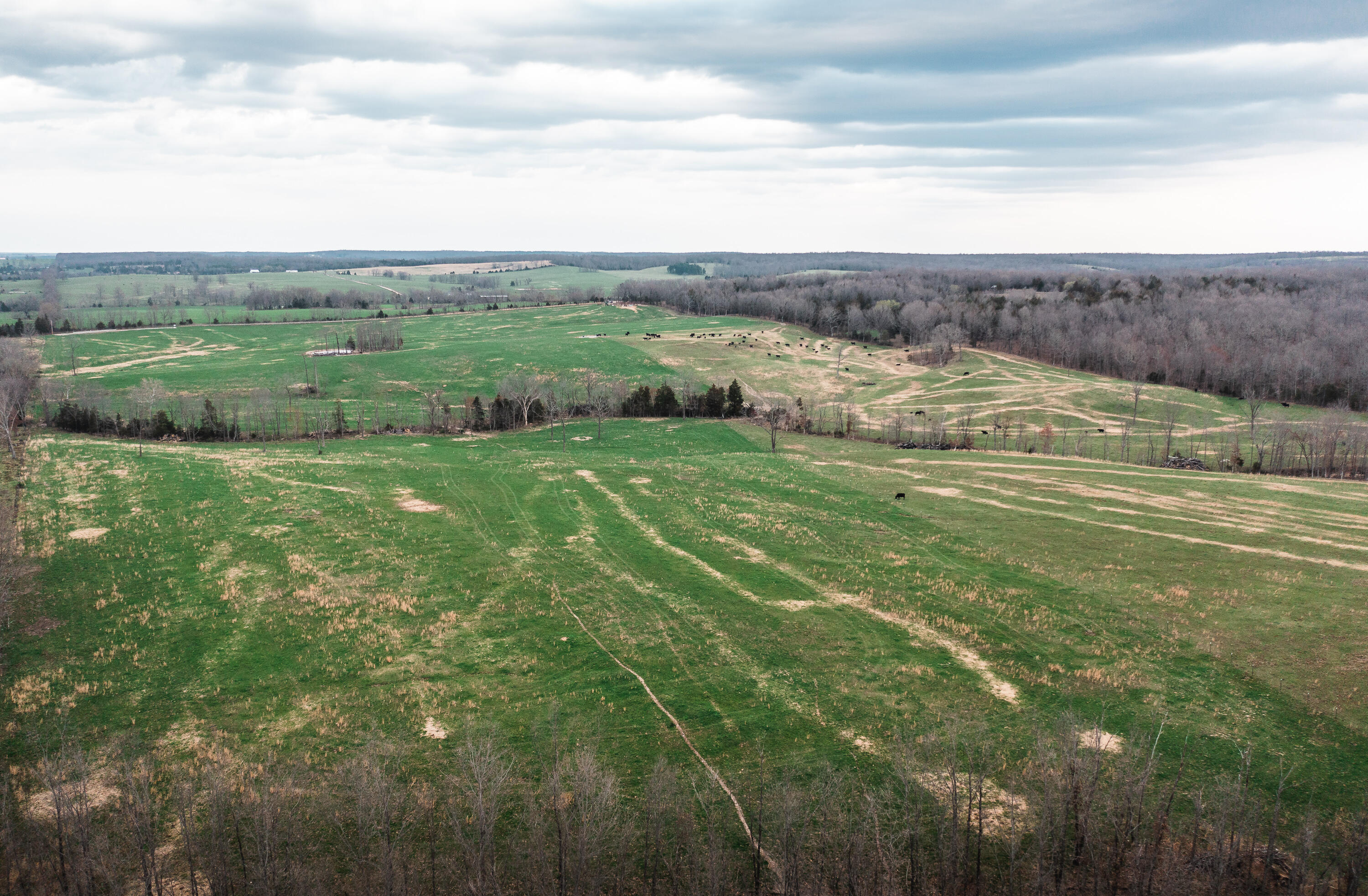 Photo 16 - Land for sale – 0  Kofhal Road  Licking, MO