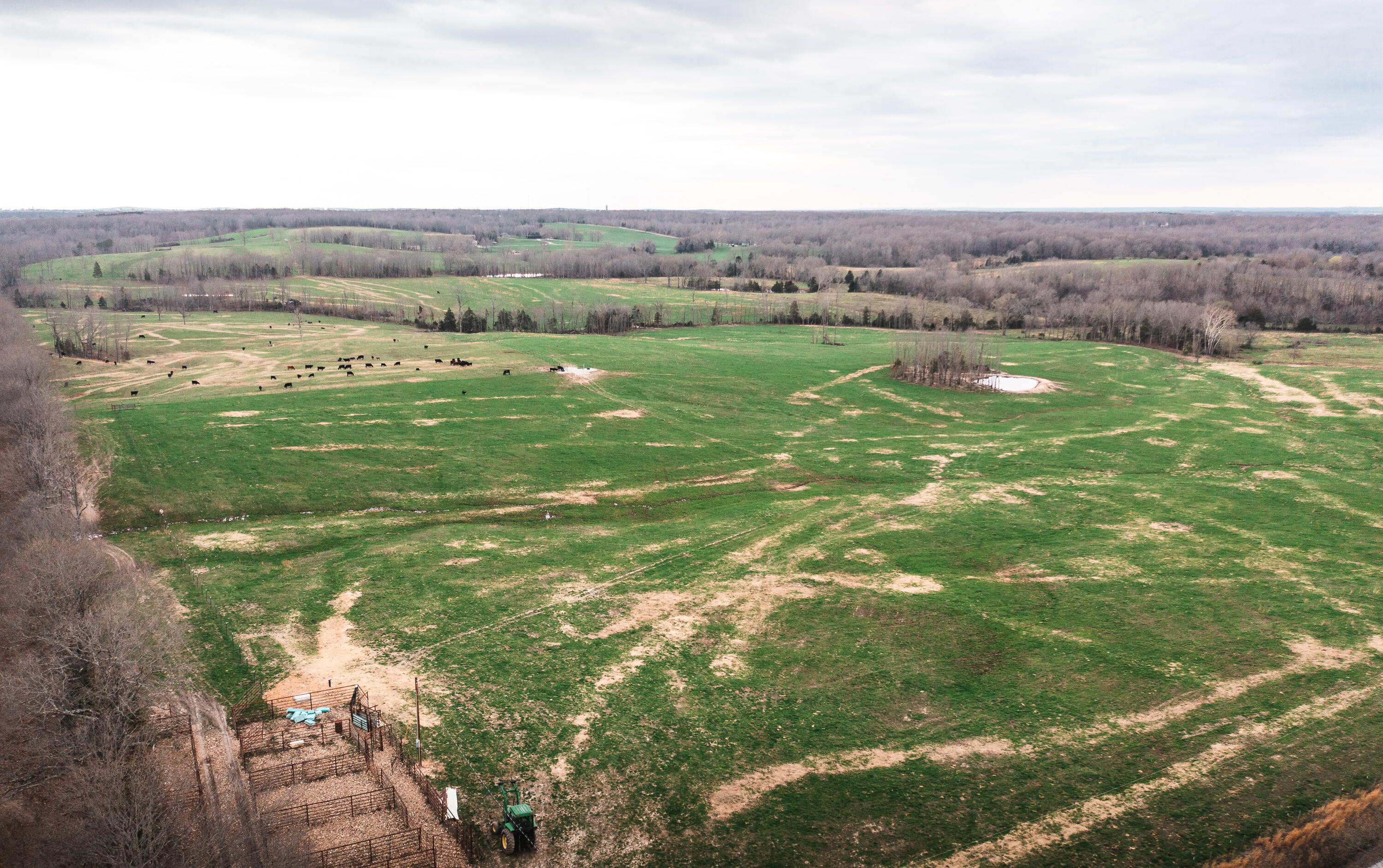 Land for sale – 0  Kofhal Road  Licking, MO