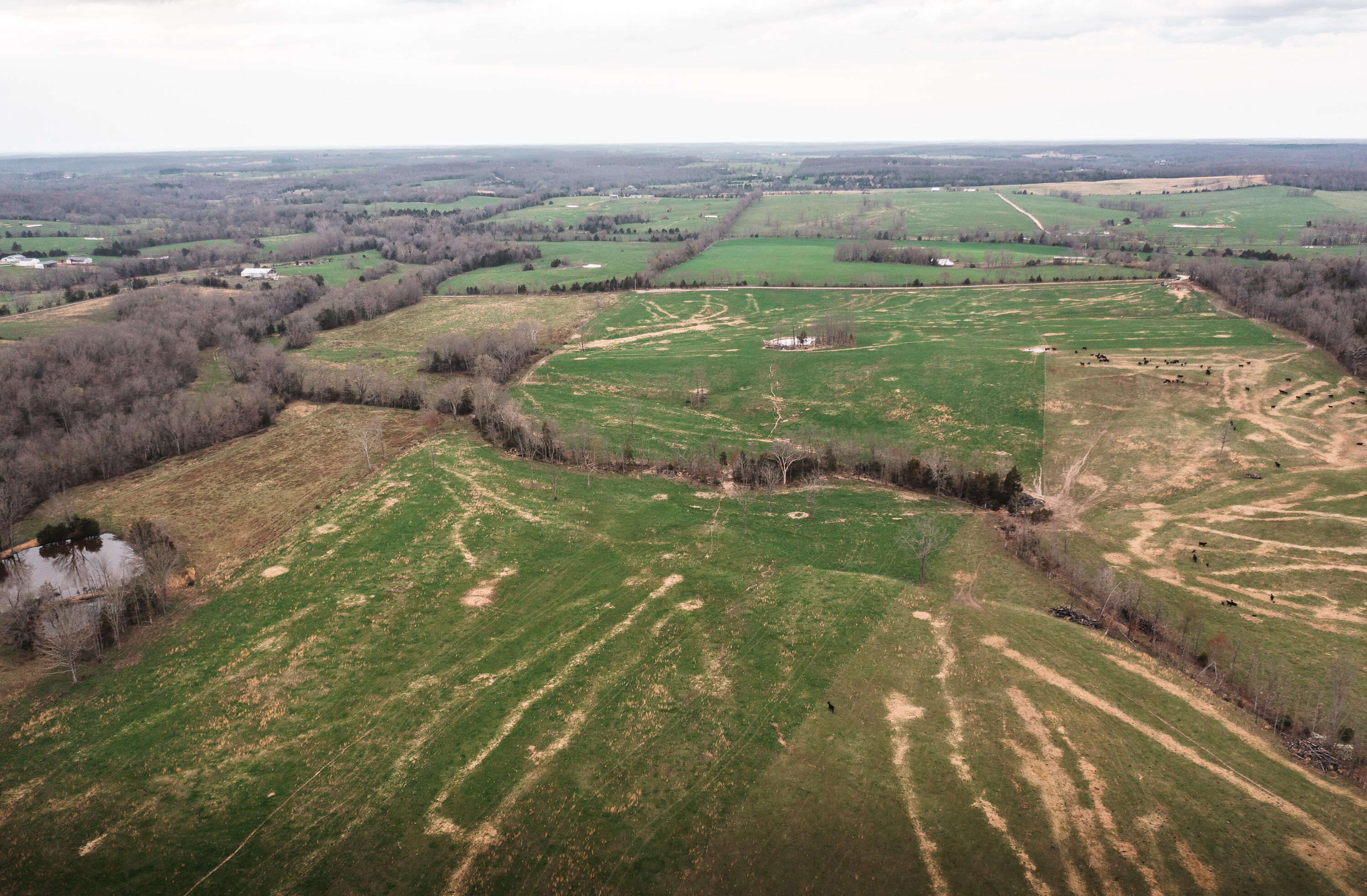 Photo 13 - Land for sale – 0  Kofhal Road  Licking, MO
