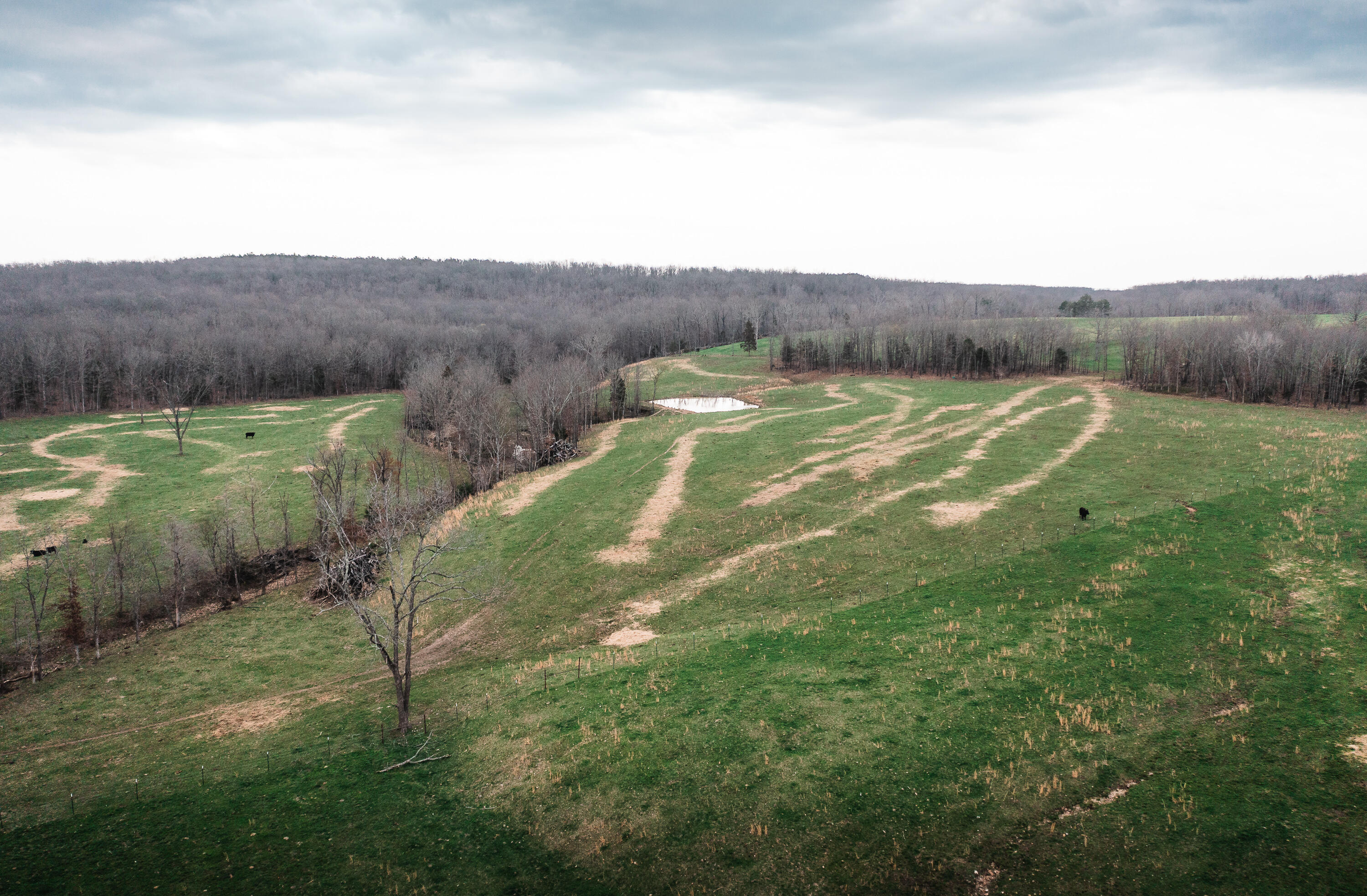 Photo 20 - Land for sale – 0  Kofhal Road  Licking, MO
