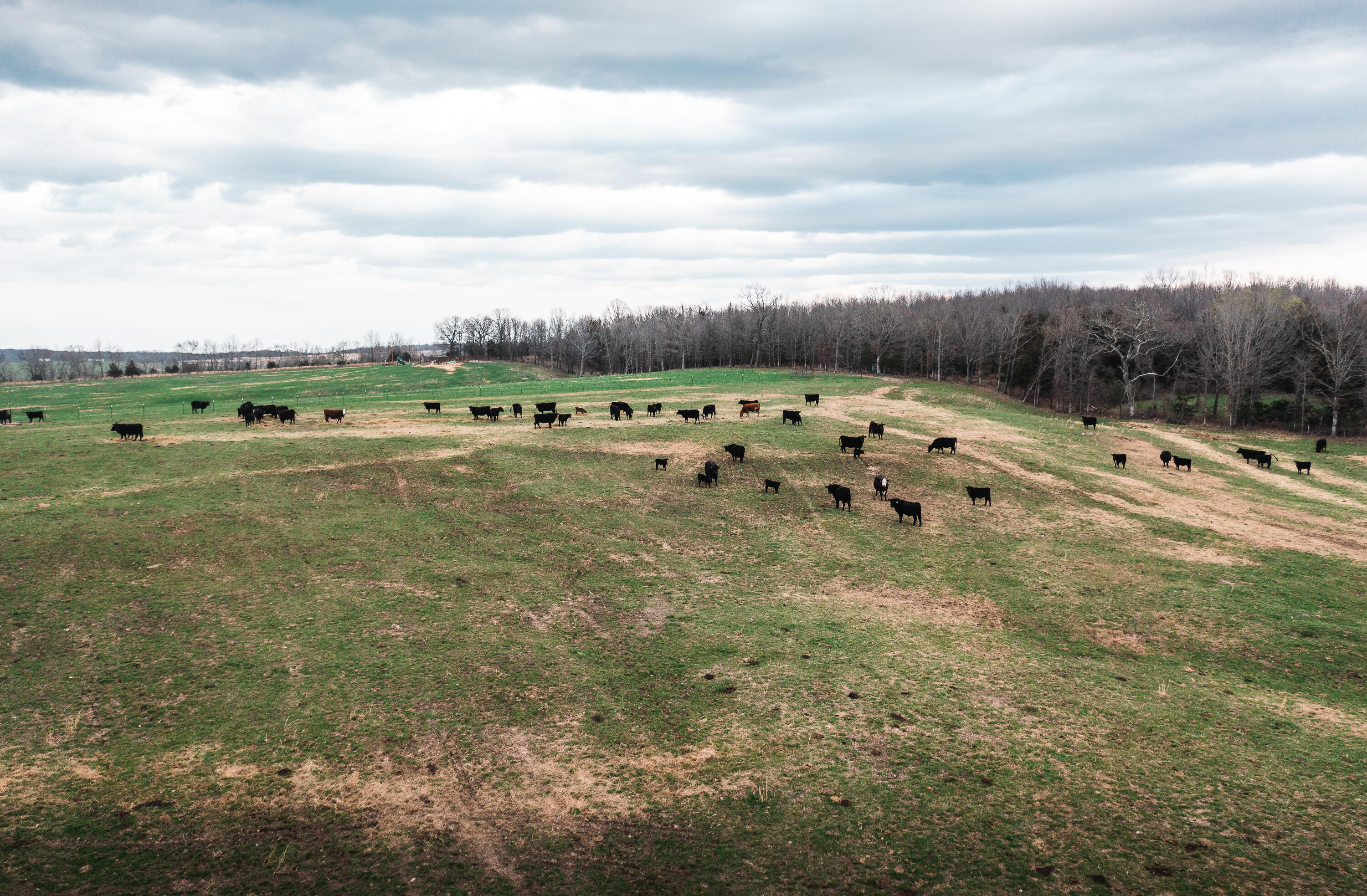 Photo 21 - Land for sale – 0  Kofhal Road  Licking, MO