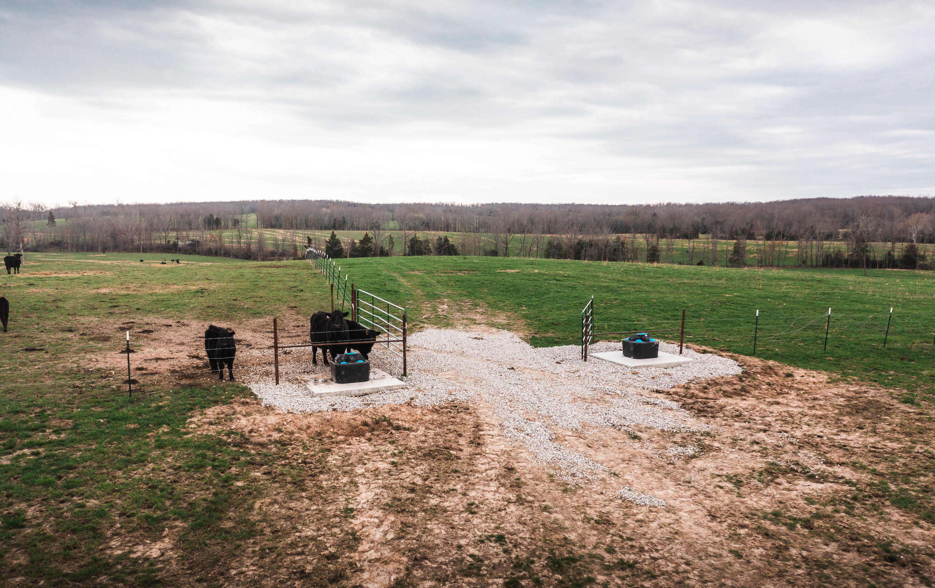 Photo 9 - Land for sale – 0  Kofhal Road  Licking, MO