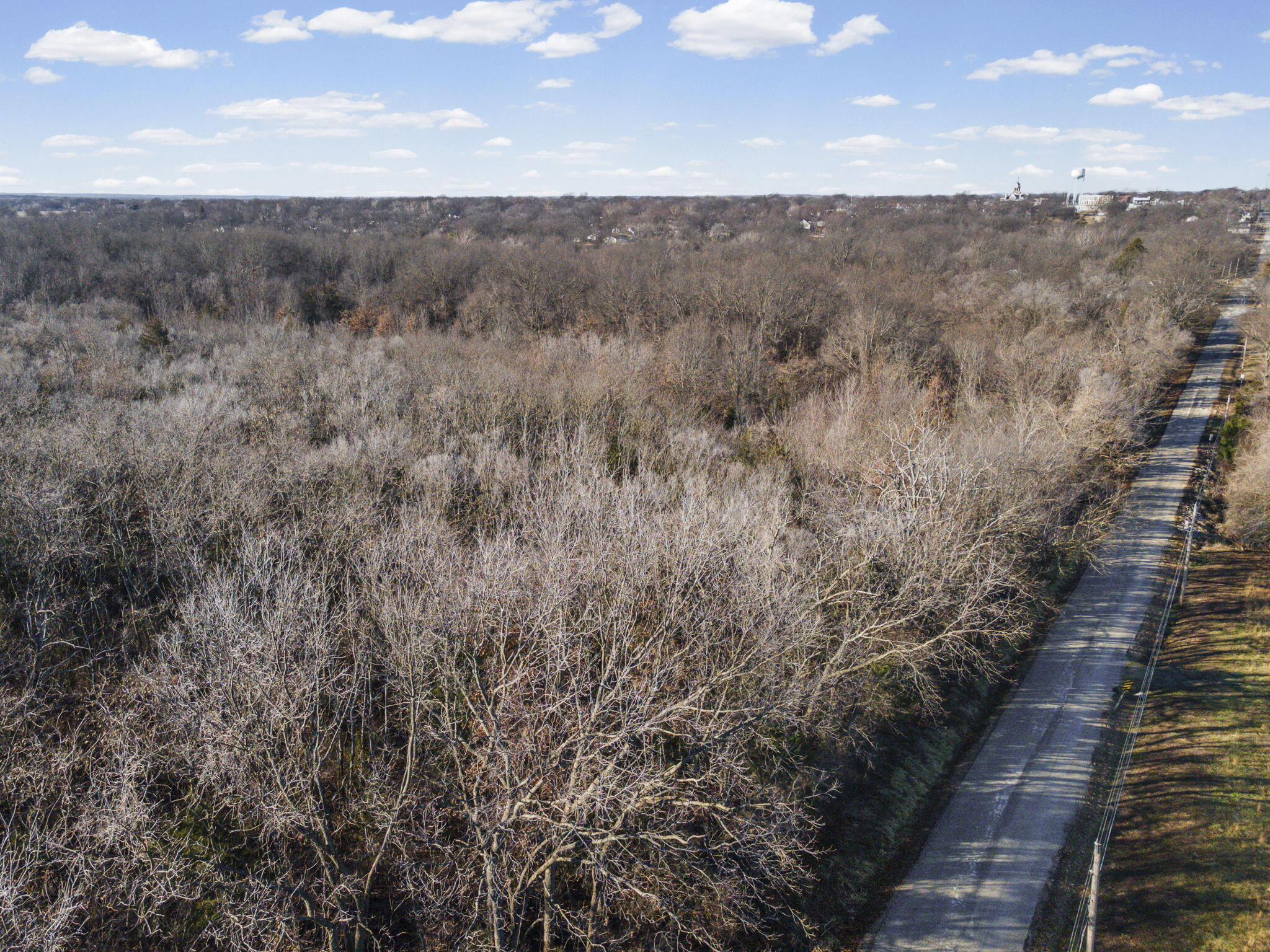 Photo 39 - Land for sale – Sw Lot E Pine St   Butler, MO