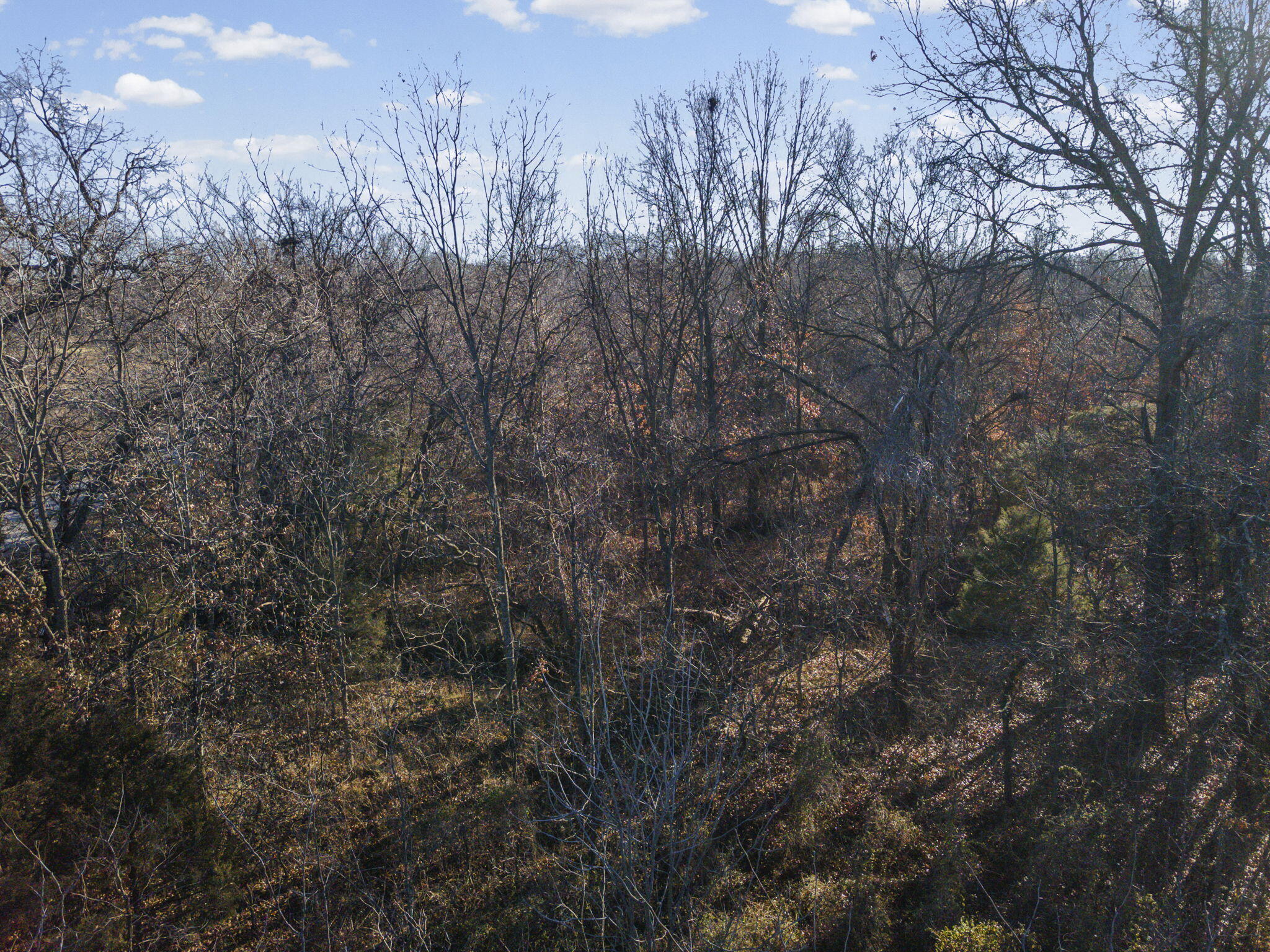 Photo 7 - Land for sale – Sw Lot E Pine St   Butler, MO