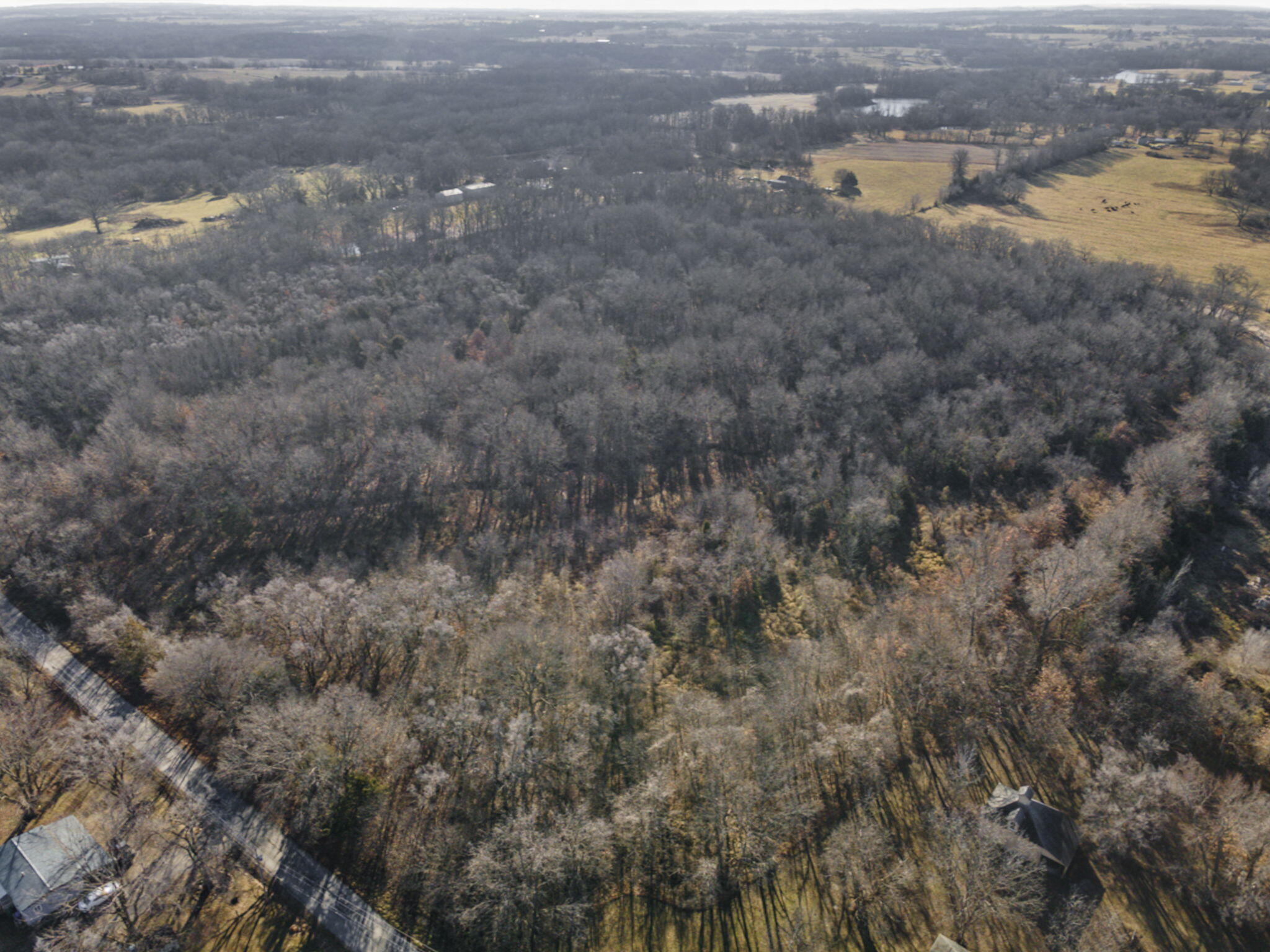Photo 31 - Land for sale – Sw Lot E Pine St   Butler, MO