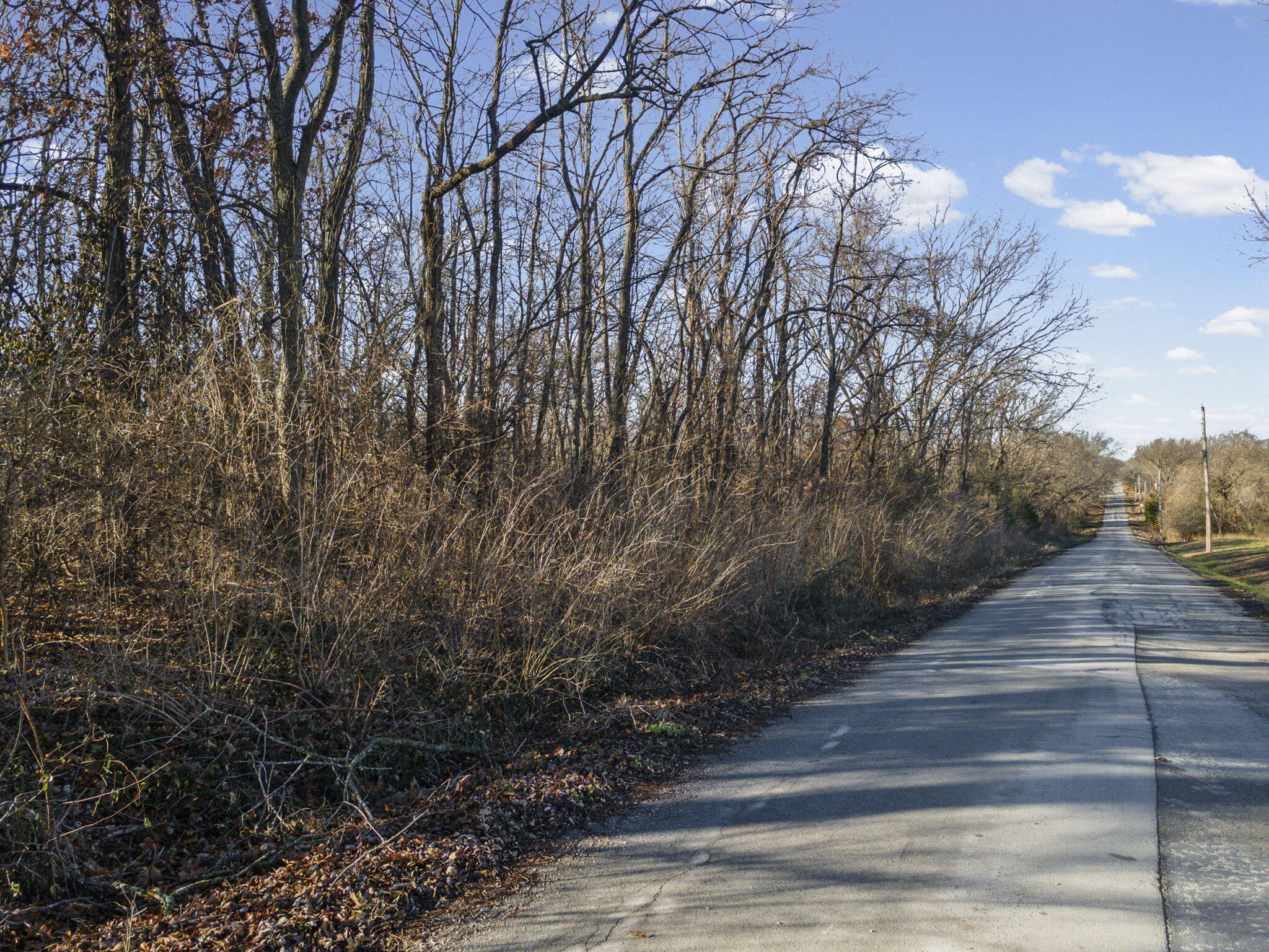 Photo 6 - Land for sale – Sw Lot E Pine St   Butler, MO