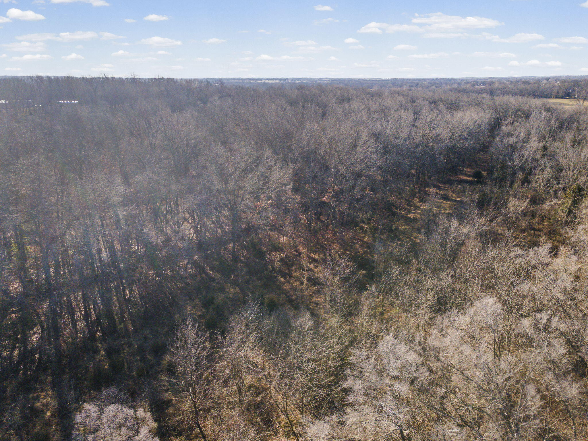 Photo 9 - Land for sale – Sw Lot E Pine St   Butler, MO