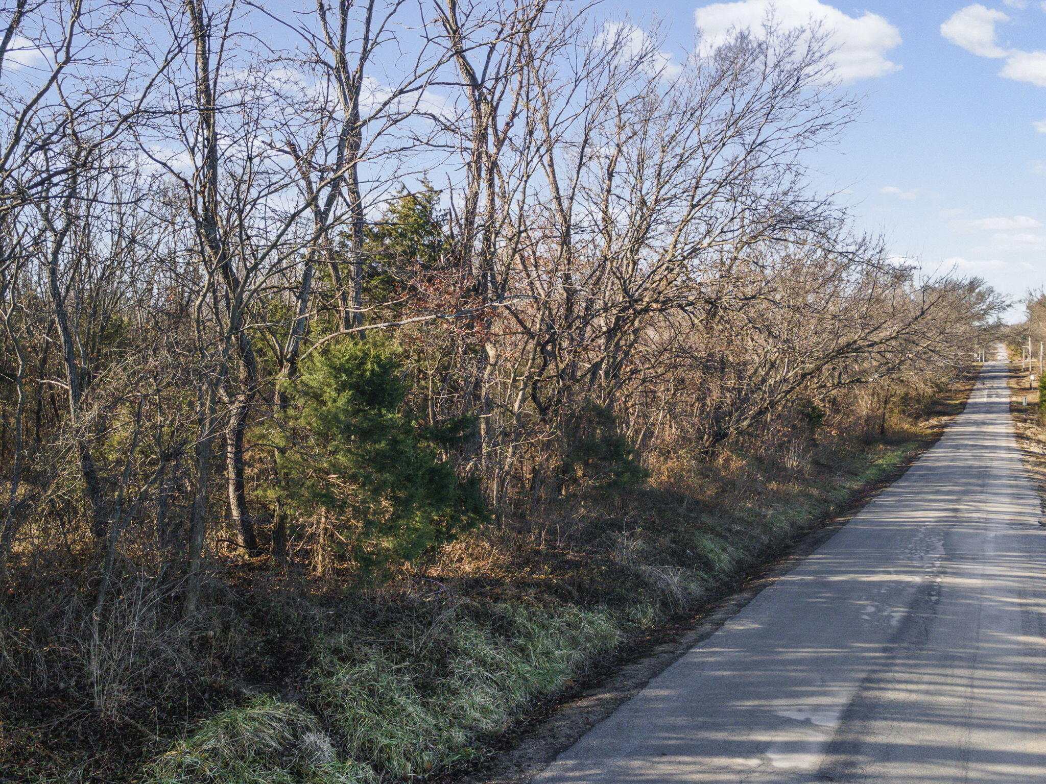Photo 40 - Land for sale – Sw Lot E Pine St   Butler, MO