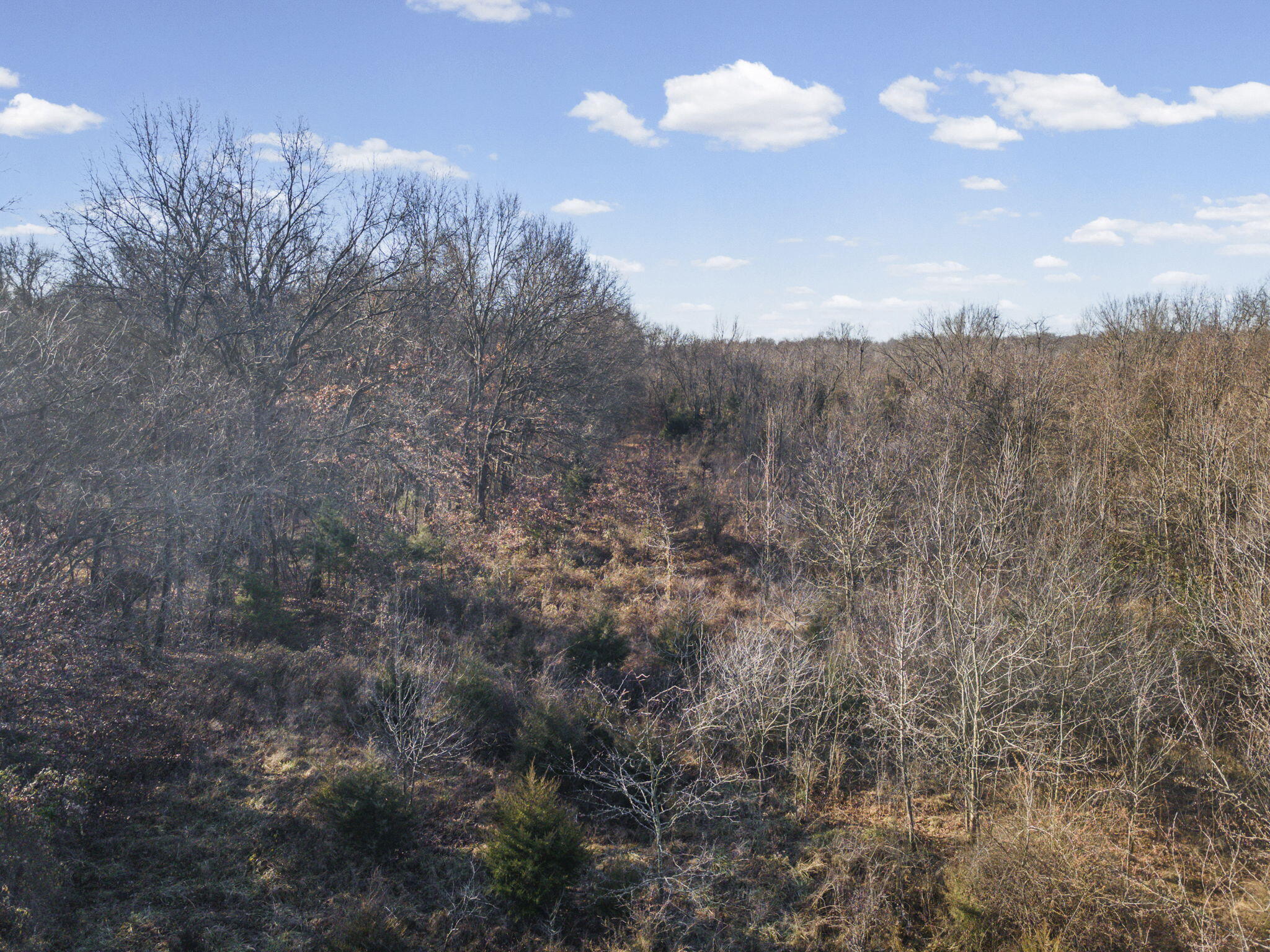 Photo 8 - Land for sale – Sw Lot E Pine St   Butler, MO