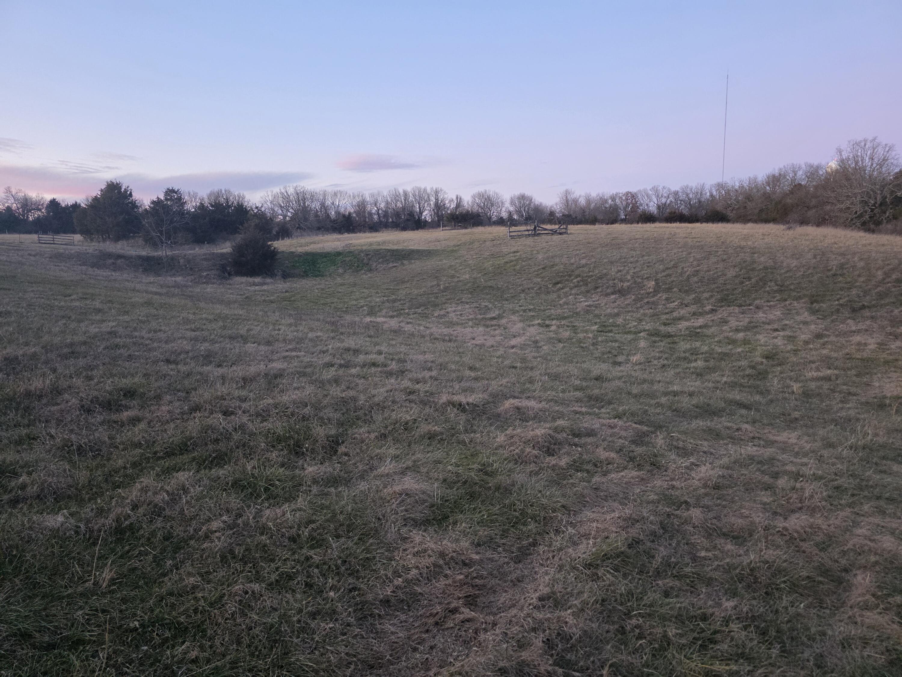 Land for sale – 750  Brentlinger Drive  Fordland, MO