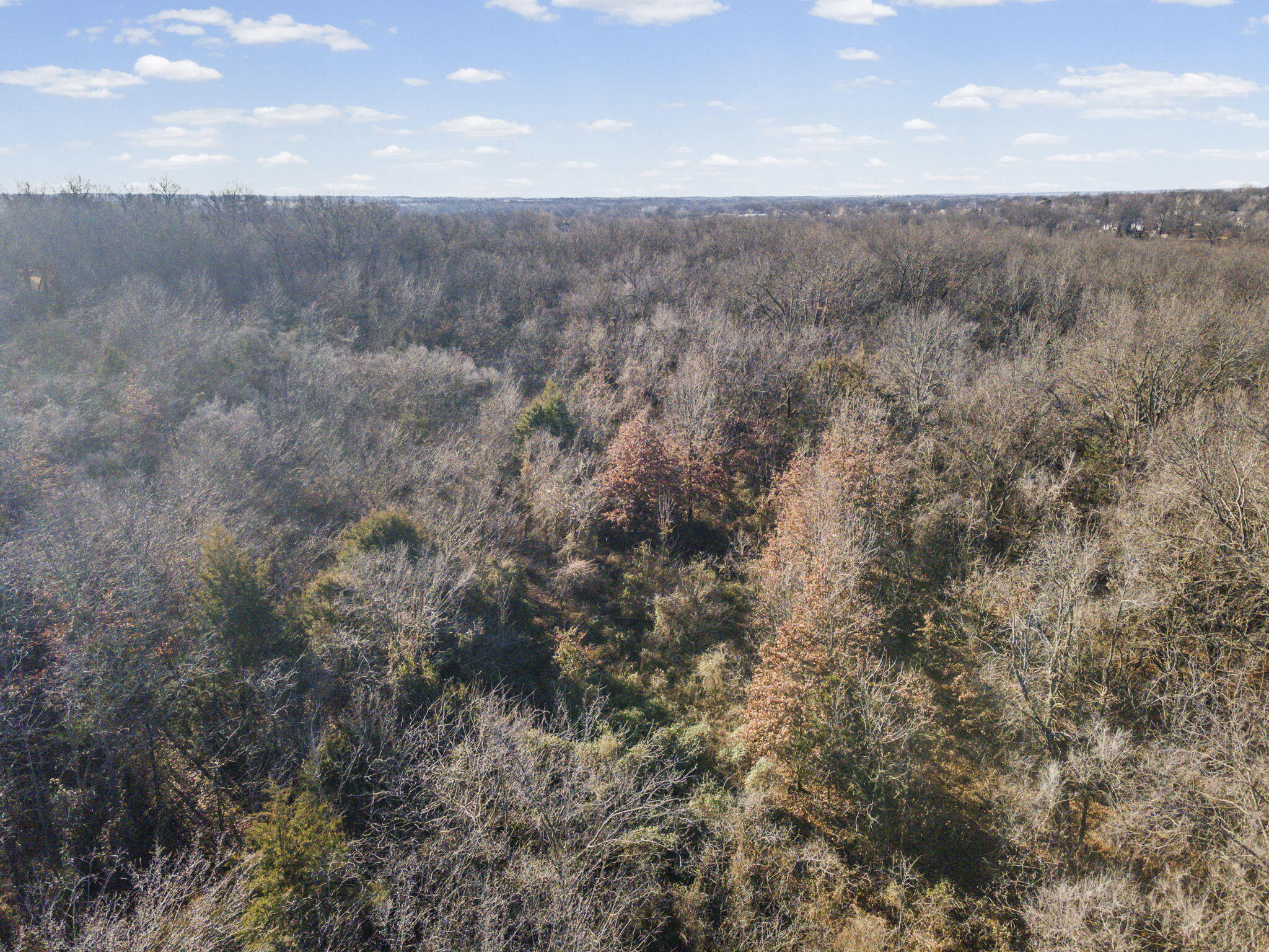 Photo 12 - Land for sale – Se Lot E Pine St   Butler, MO