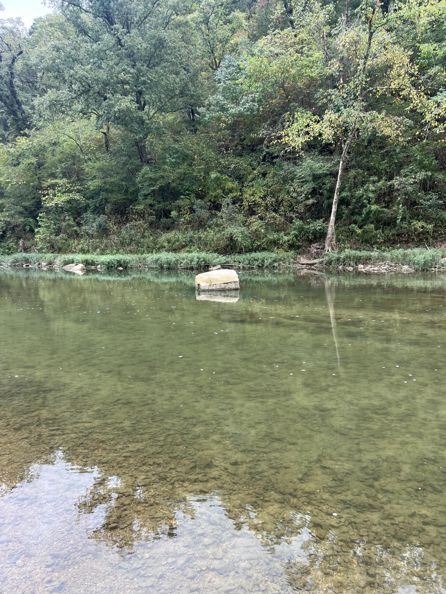 Photo 2 - Land for sale – 000  County Road 169   Brixey, MO