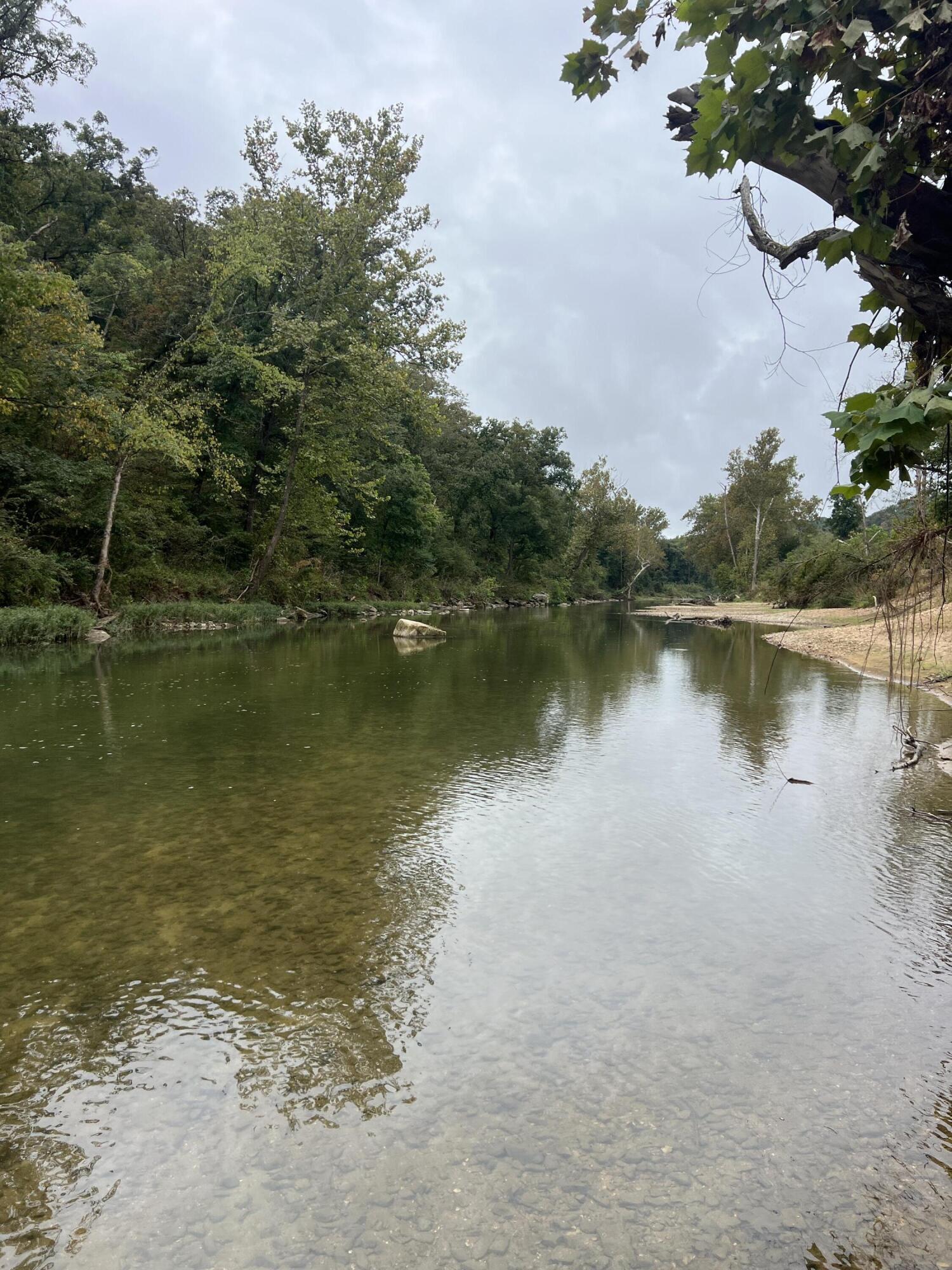 Photo 3 - Land for sale – 000  County Road 169   Brixey, MO