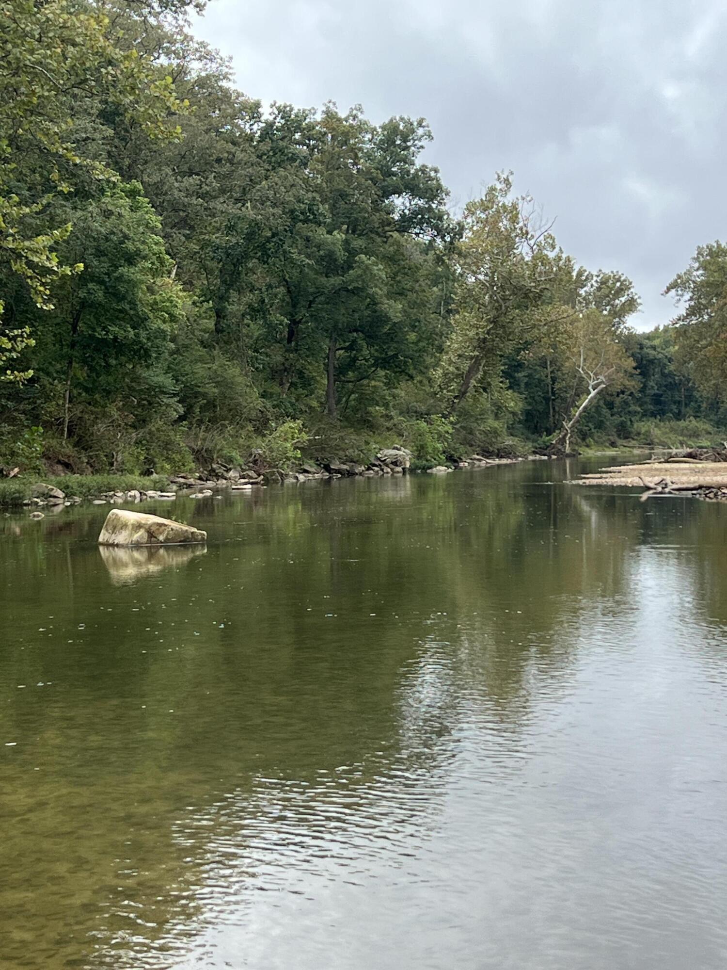 Photo 10 - Land for sale – 000  County Road 169   Brixey, MO