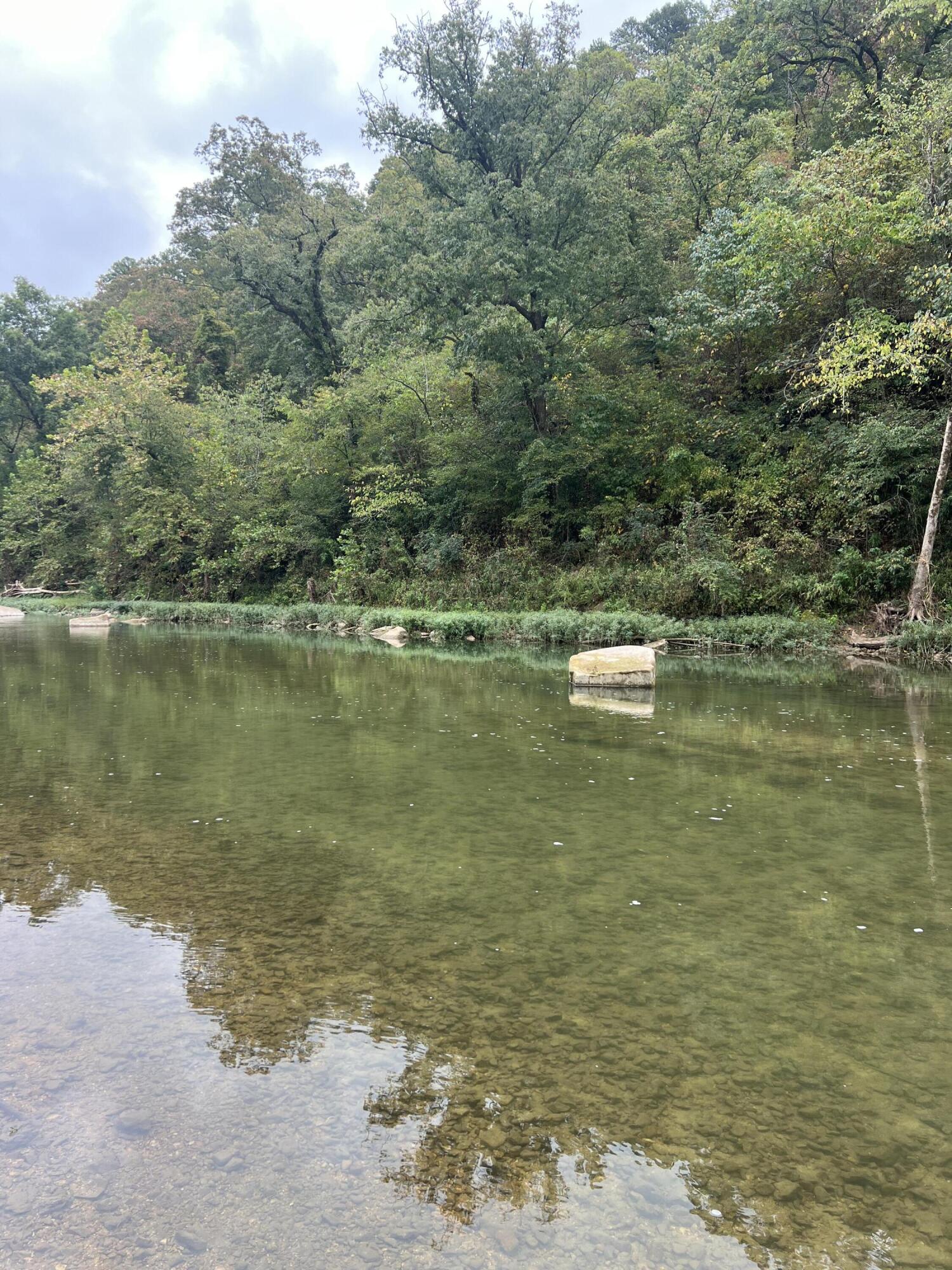 Photo 4 - Land for sale – 000  County Road 169   Brixey, MO