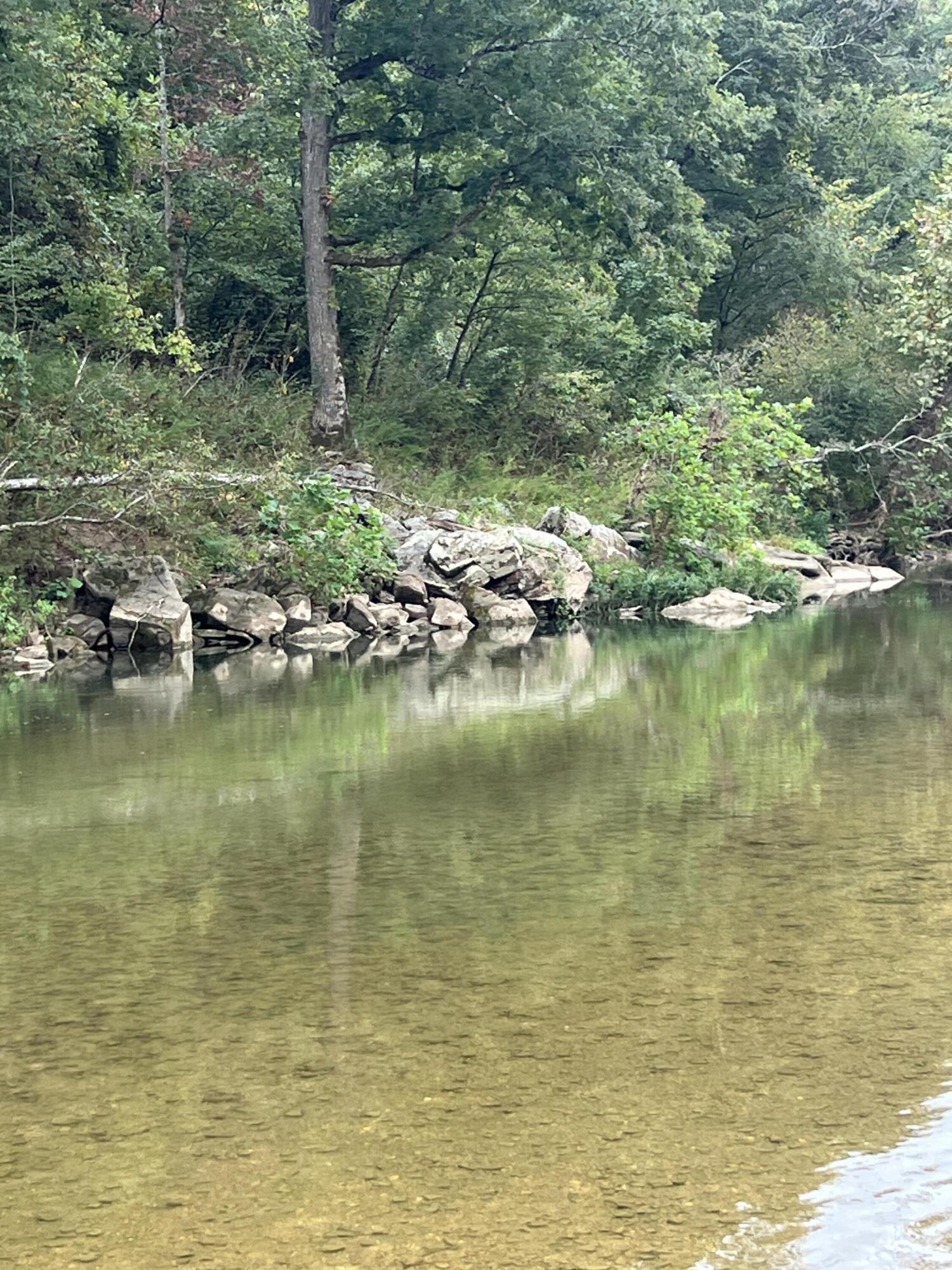 Photo 8 - Land for sale – 000  County Road 169   Brixey, MO