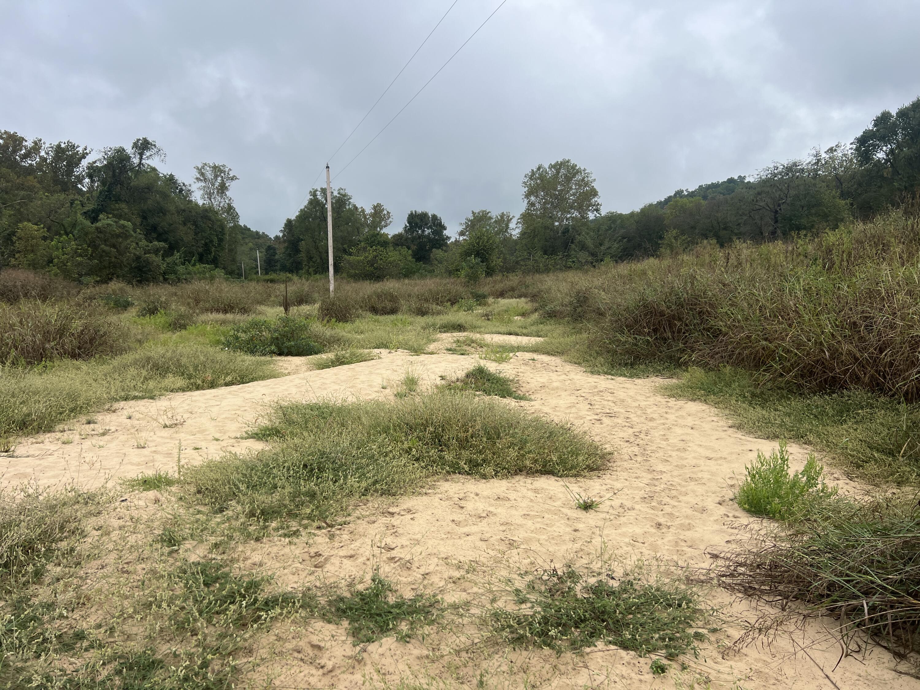Photo 11 - Land for sale – 000  County Road 169   Brixey, MO