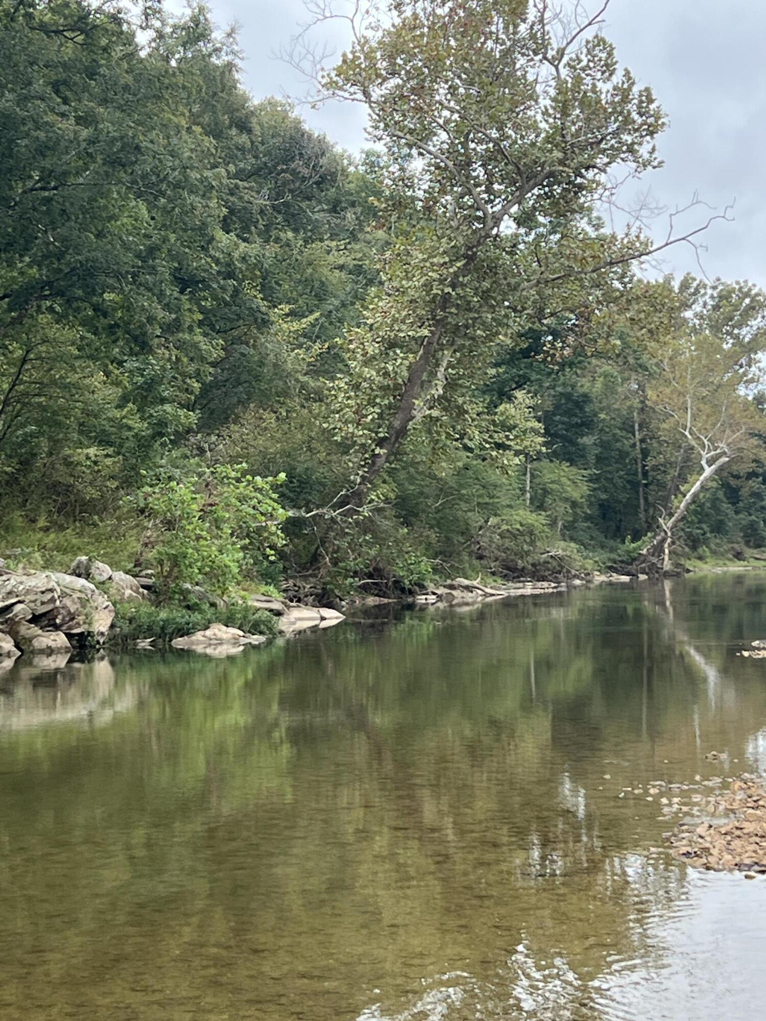 Photo 9 - Land for sale – 000  County Road 169   Brixey, MO