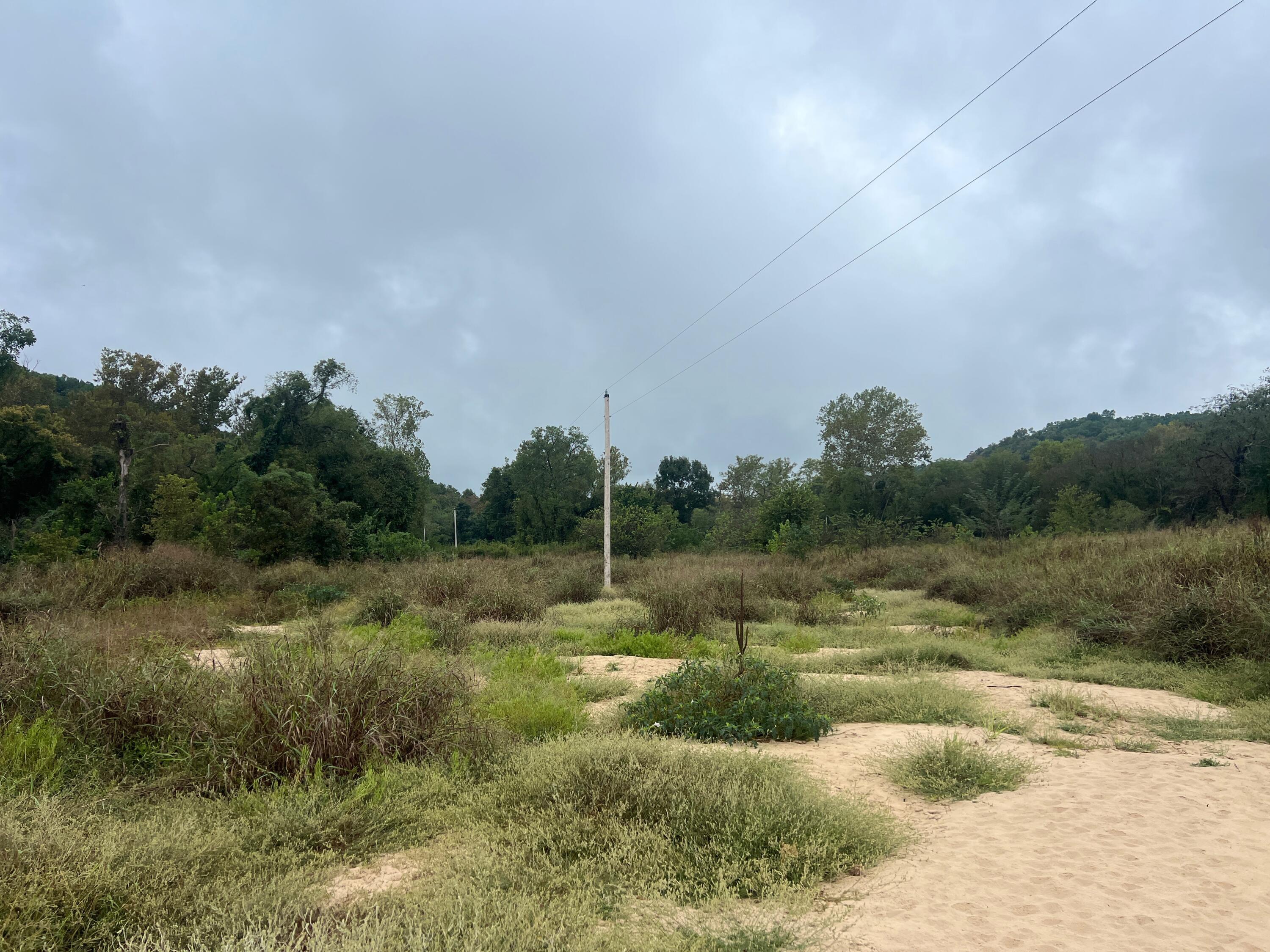 Photo 13 - Land for sale – 000  County Road 169   Brixey, MO