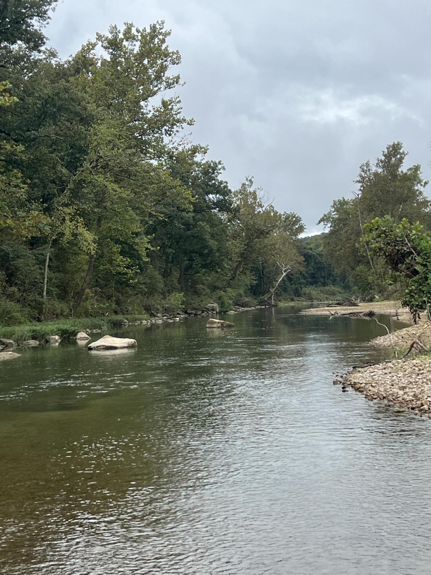 Land for sale – 000  County Road 169   Brixey, MO