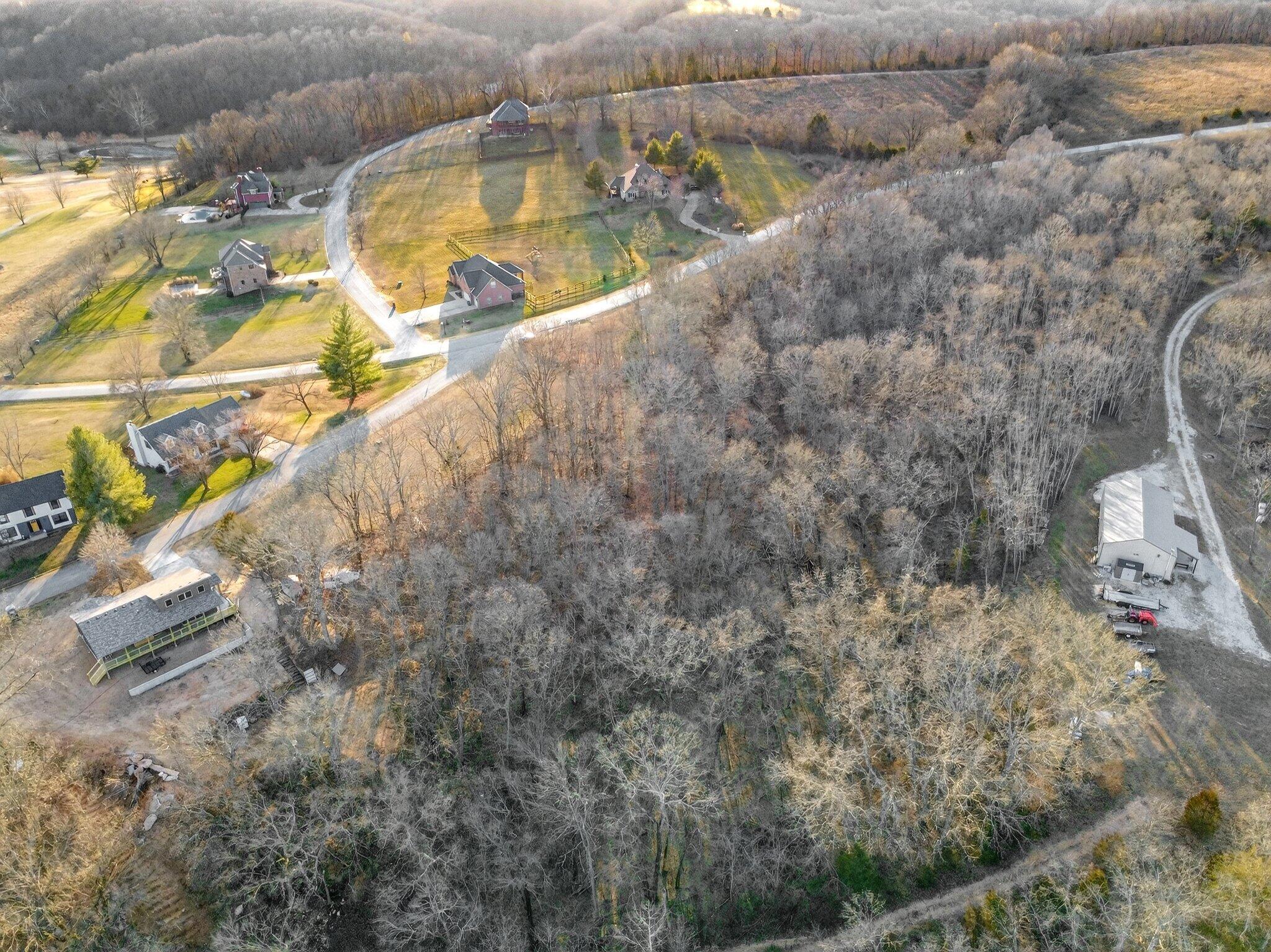 Photo 13 - Land for sale – 000  Dollar Street  Clever, MO